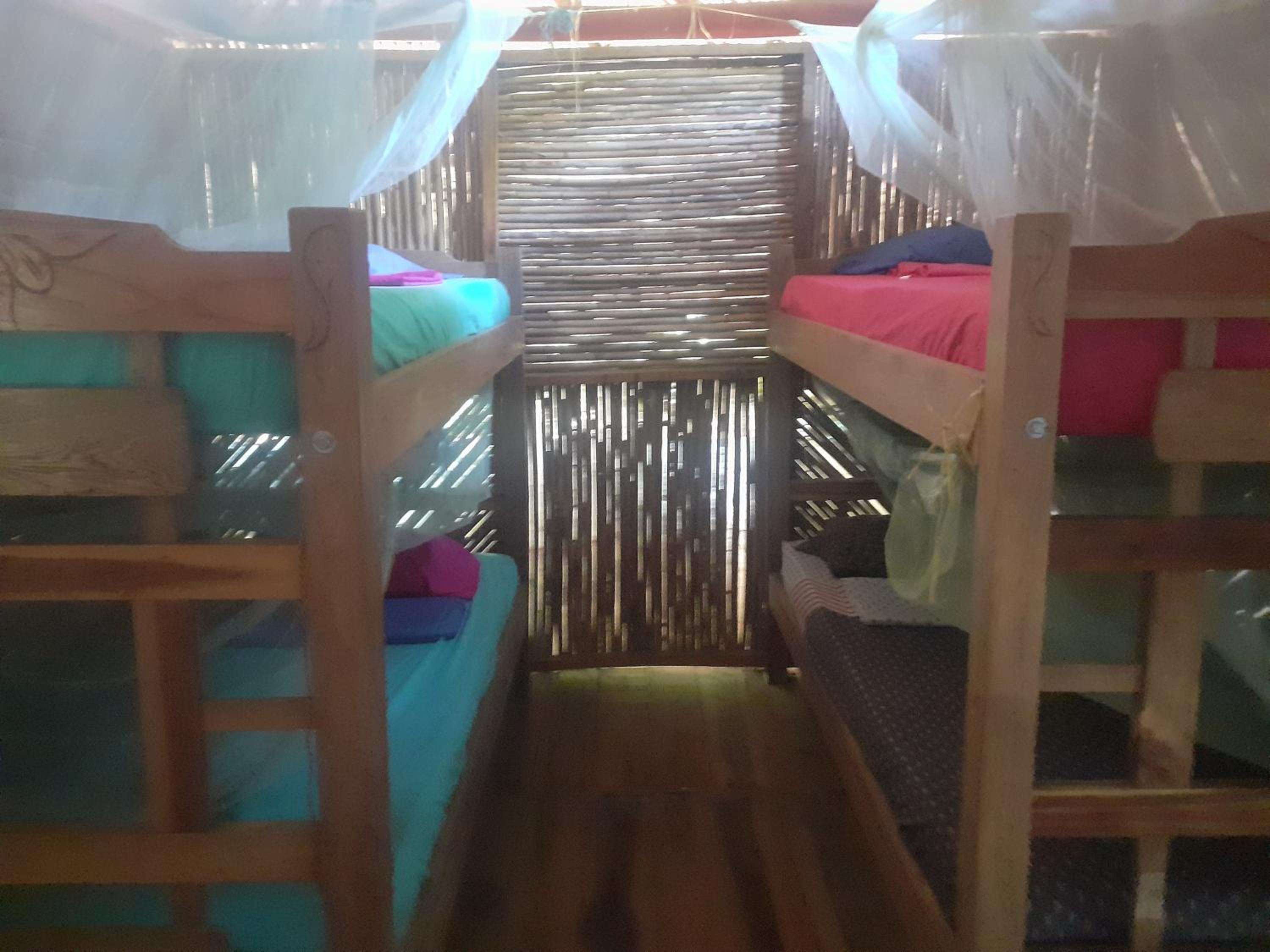 Bed in 4-Bed Dormitory Room photo 1