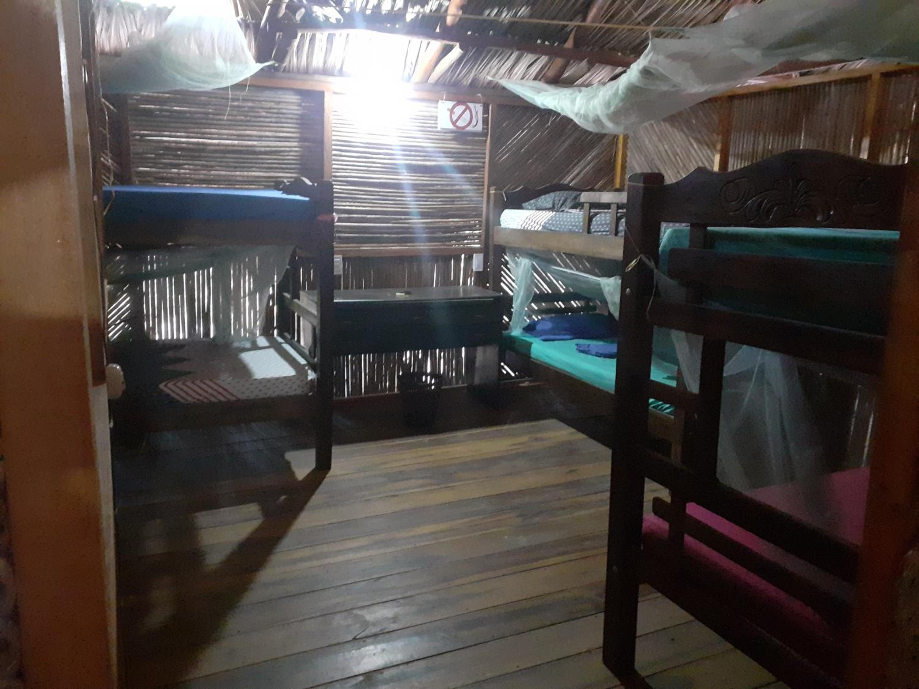 Single Bed in 6-Bed Dormitory Room photo 1
