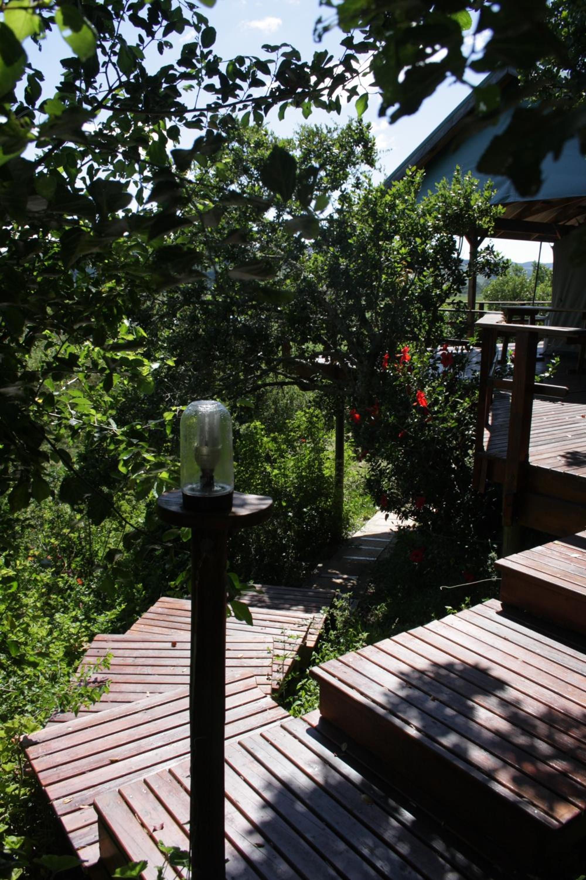 Tented Lodge - Photo 1