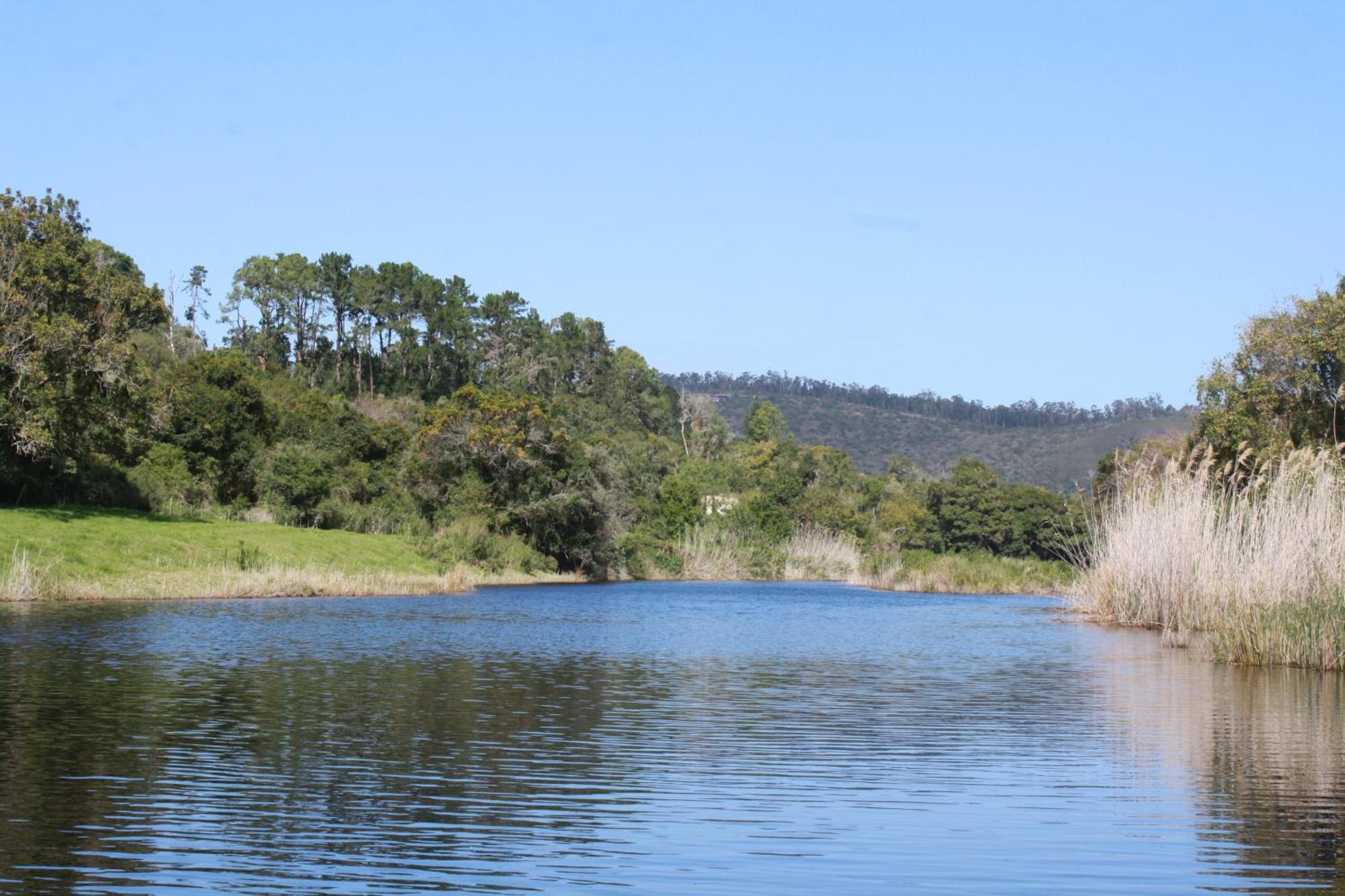 Tented Lodge - Photo 9