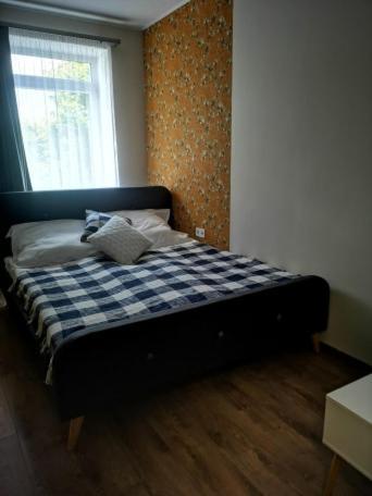 Standard Queen Room photo 3