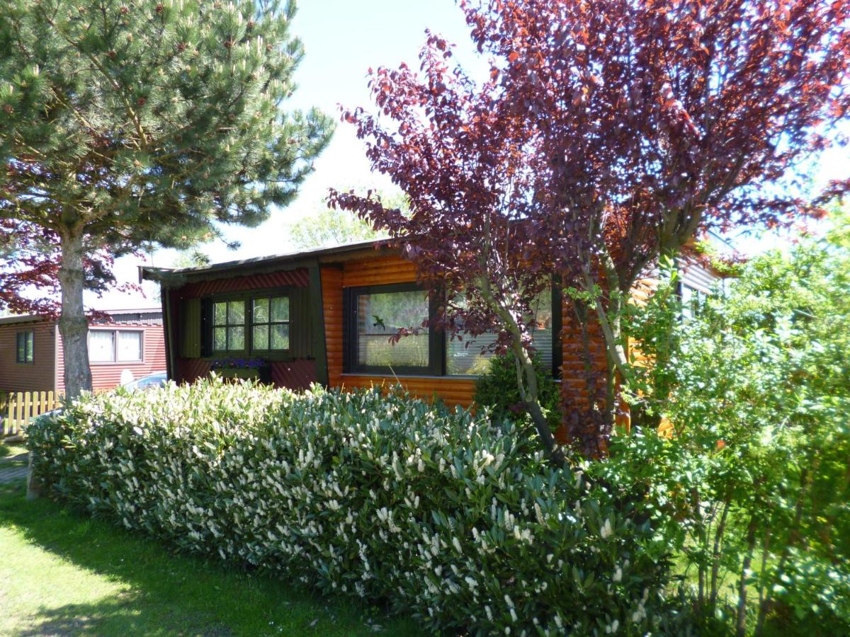 Holiday Home photo 1