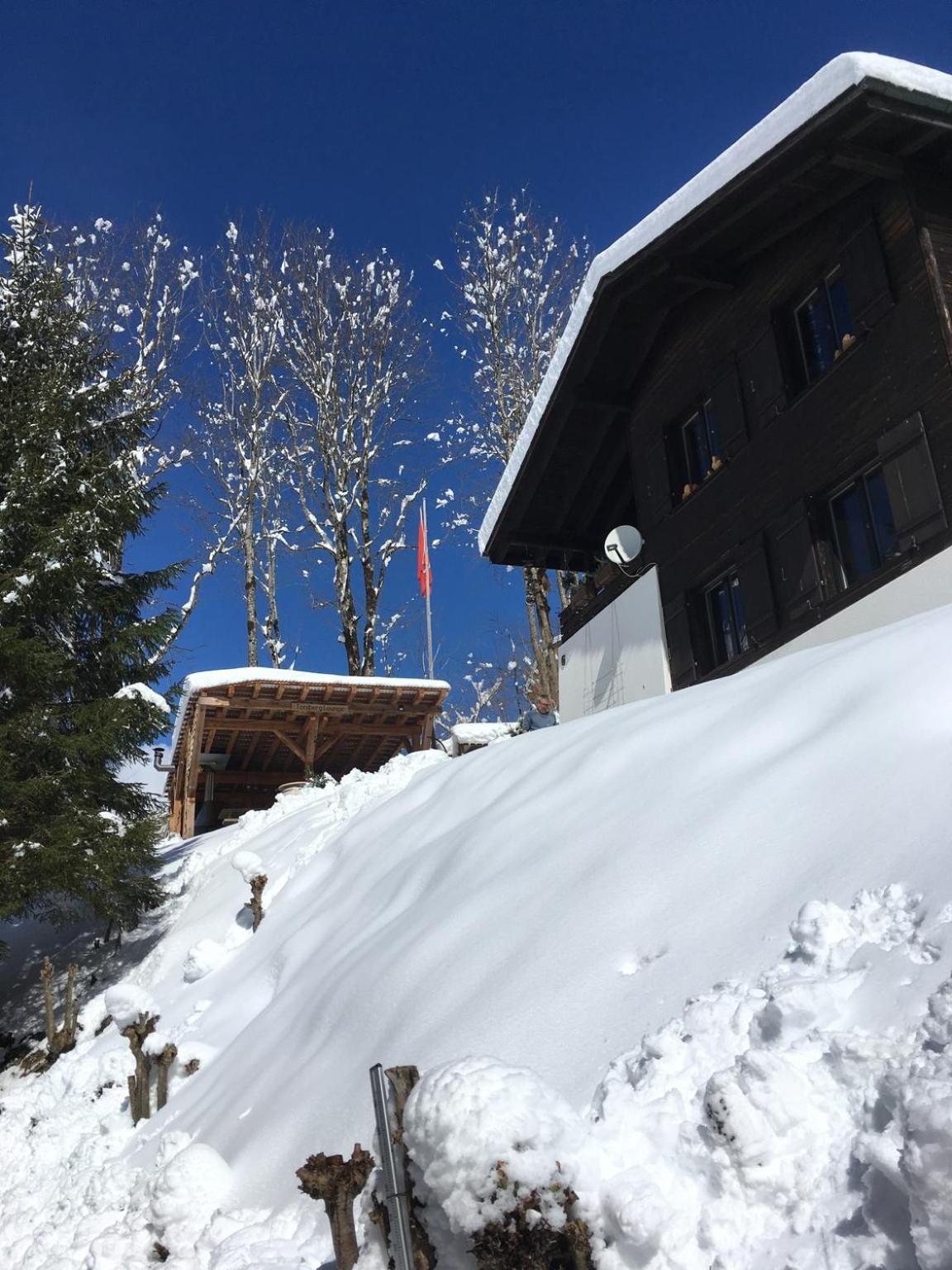 Vacation Home photo 3