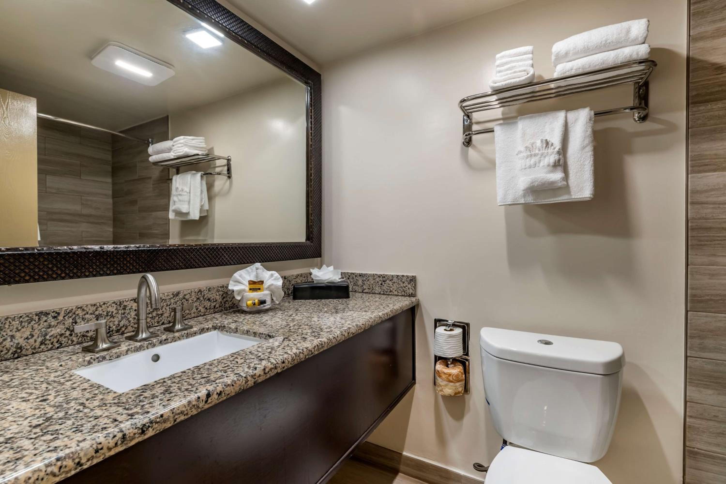 Mini King Suite with Wet Bar - Non-Smoking - Photo 3