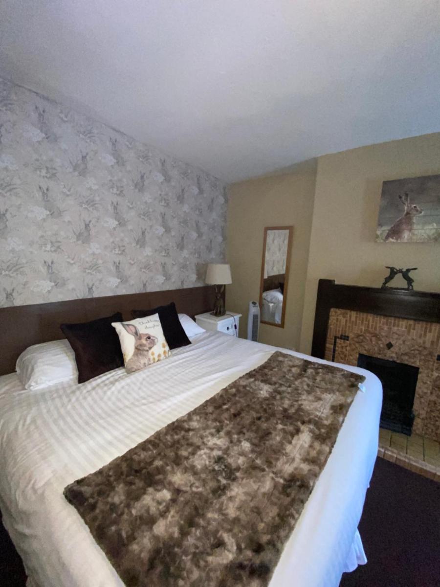 Deluxe Double Room with Bath - Photo 1