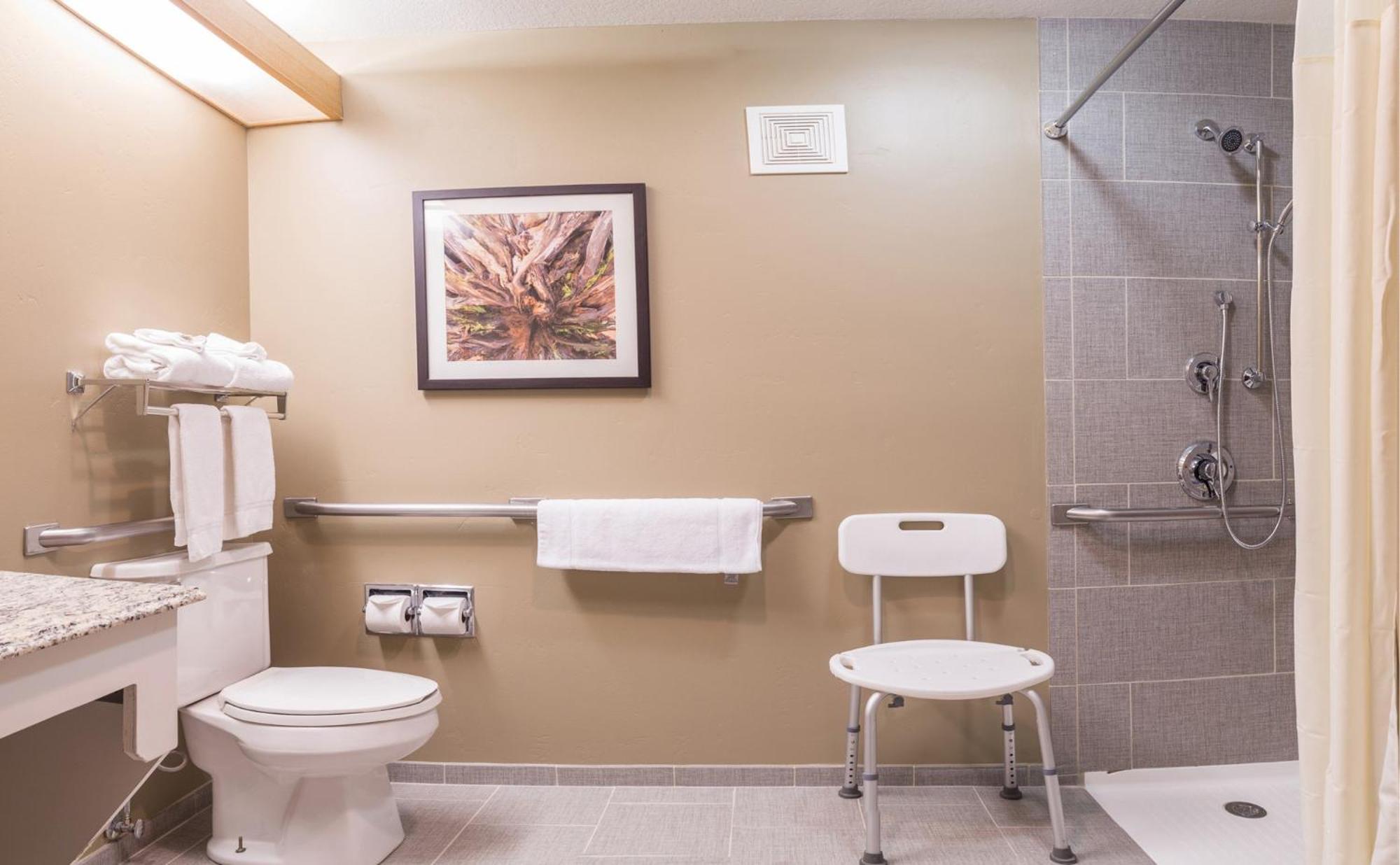 Deluxe Queen room with Roll-In Shower