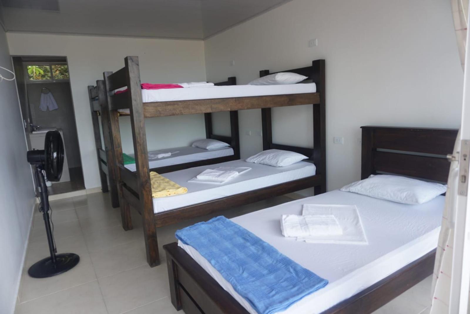 Bunk Bed in Mixed Dormitory Room photo 2
