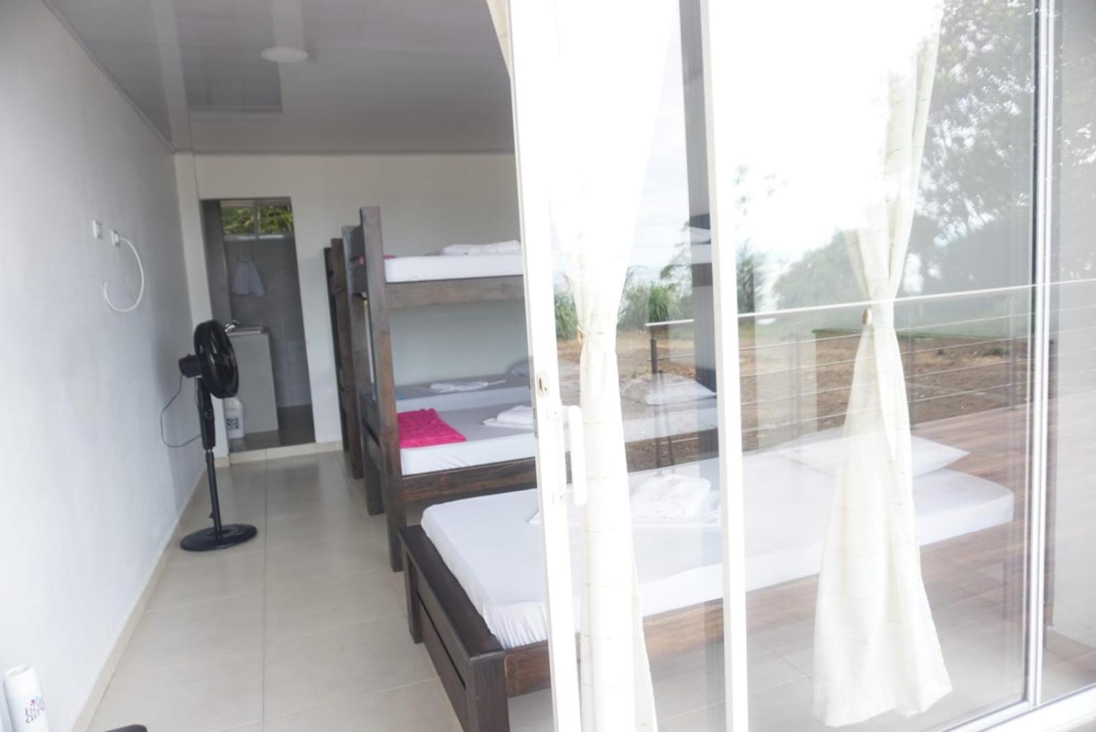 Bunk Bed in Mixed Dormitory Room photo 3