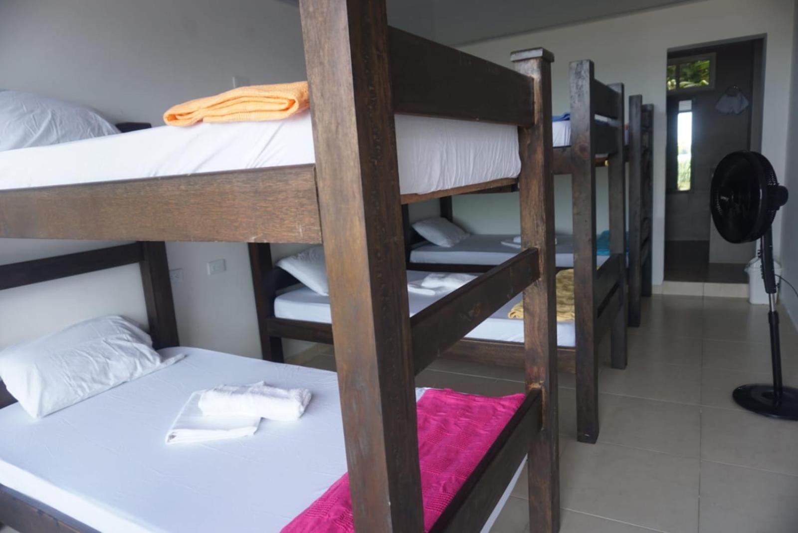 Bunk Bed in Mixed Dormitory Room photo 2