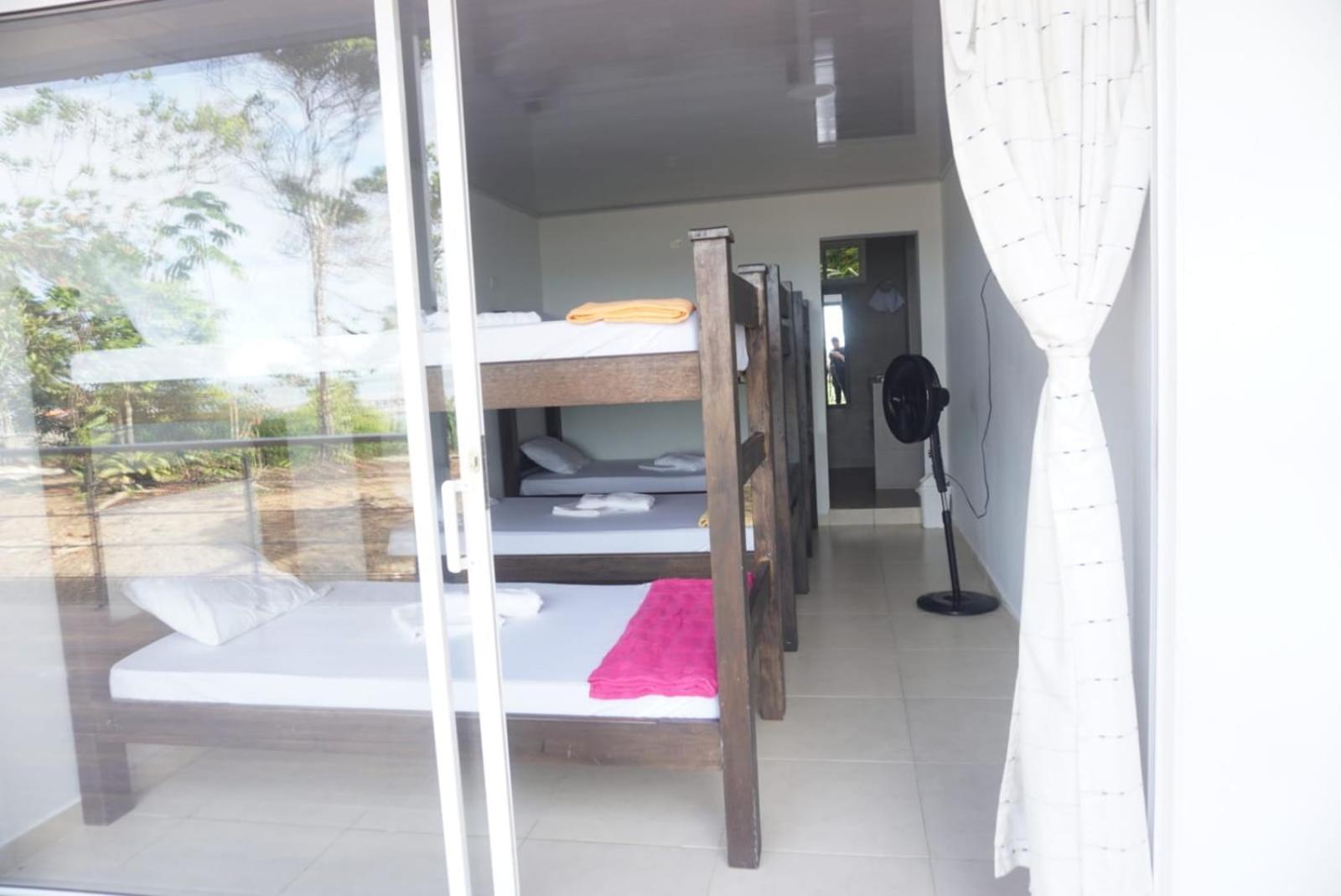 Bunk Bed in Mixed Dormitory Room photo 3