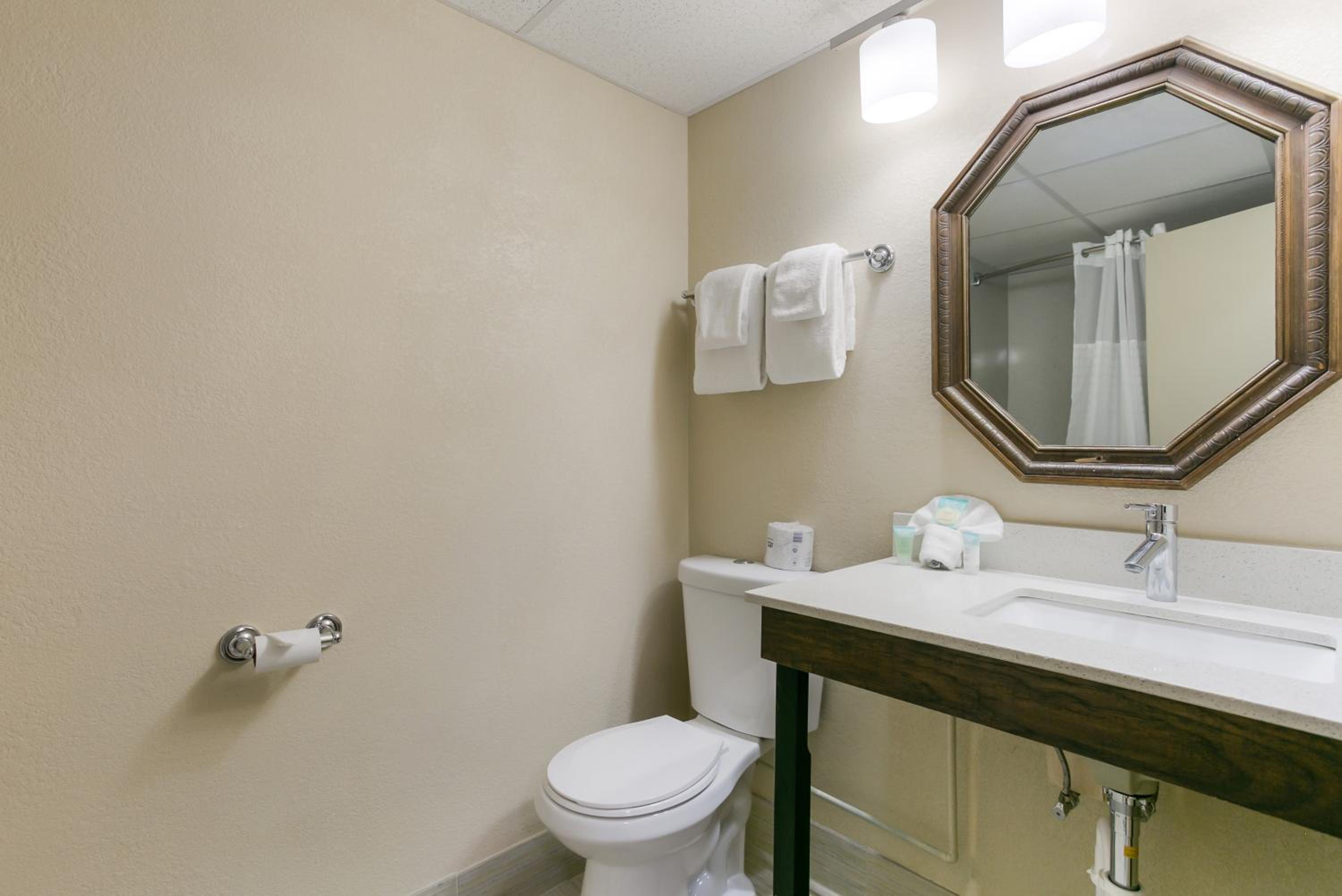 King Suite - Photo 6