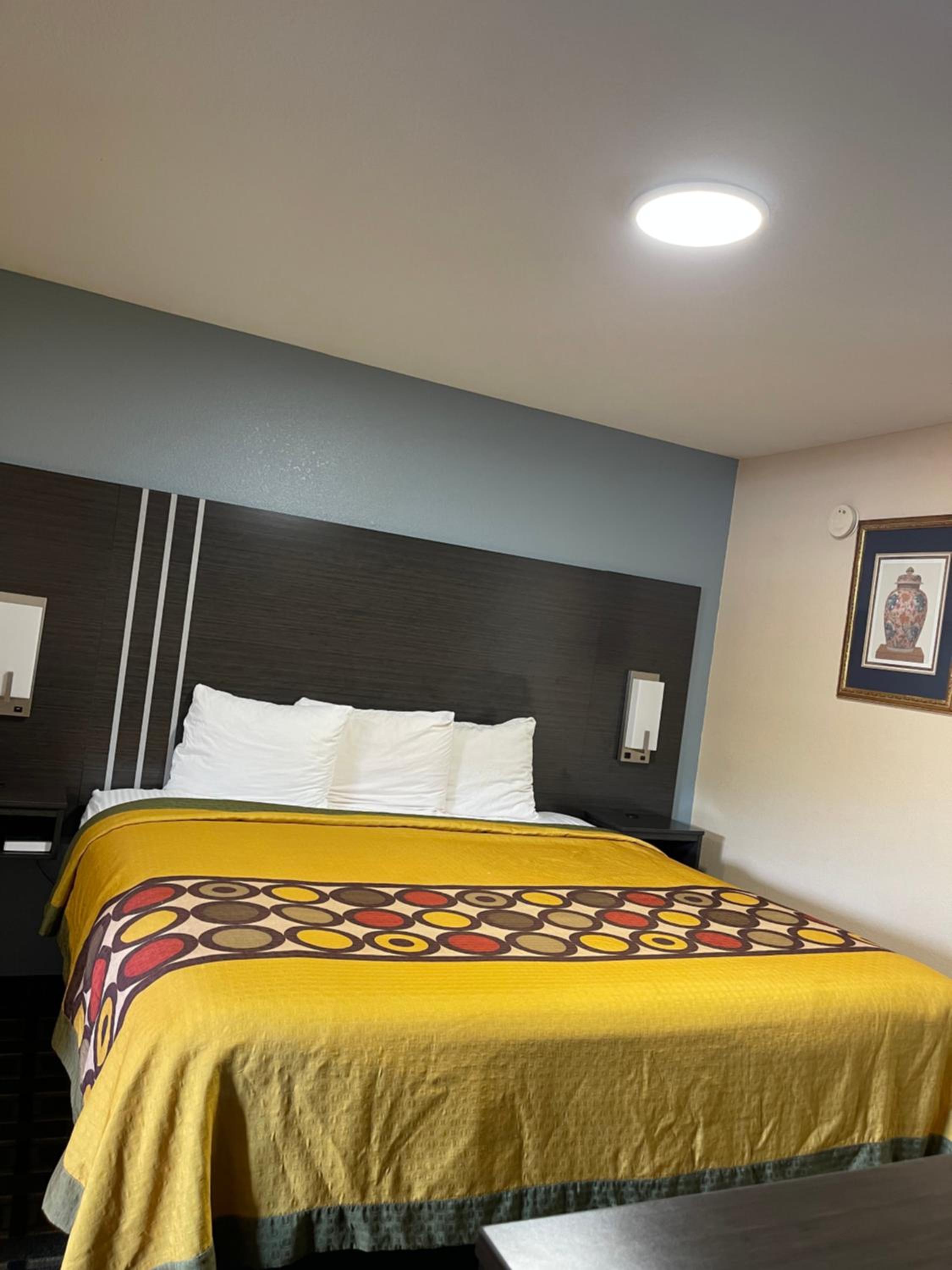 King Room photo 1
