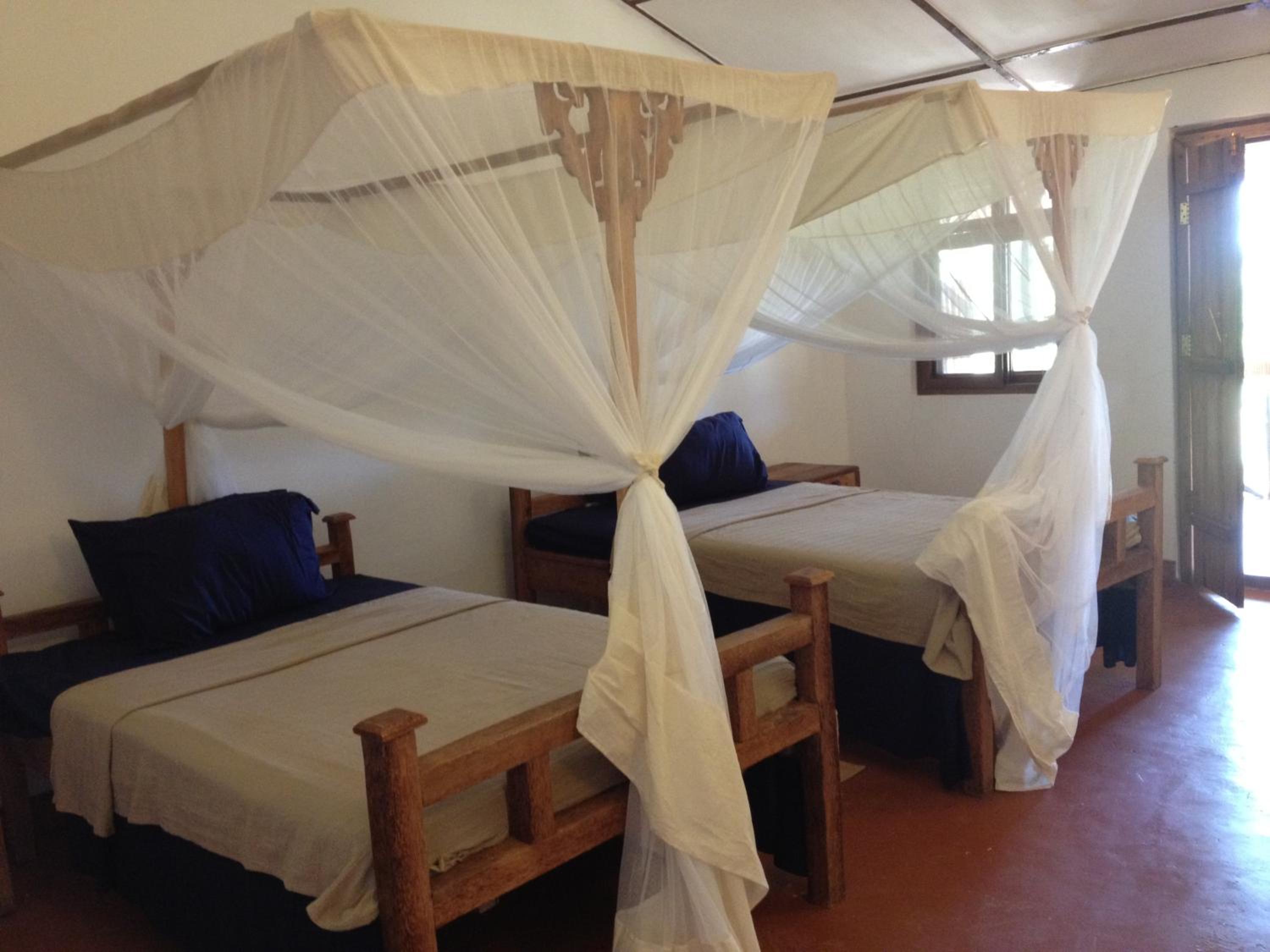 Twin Room photo 3