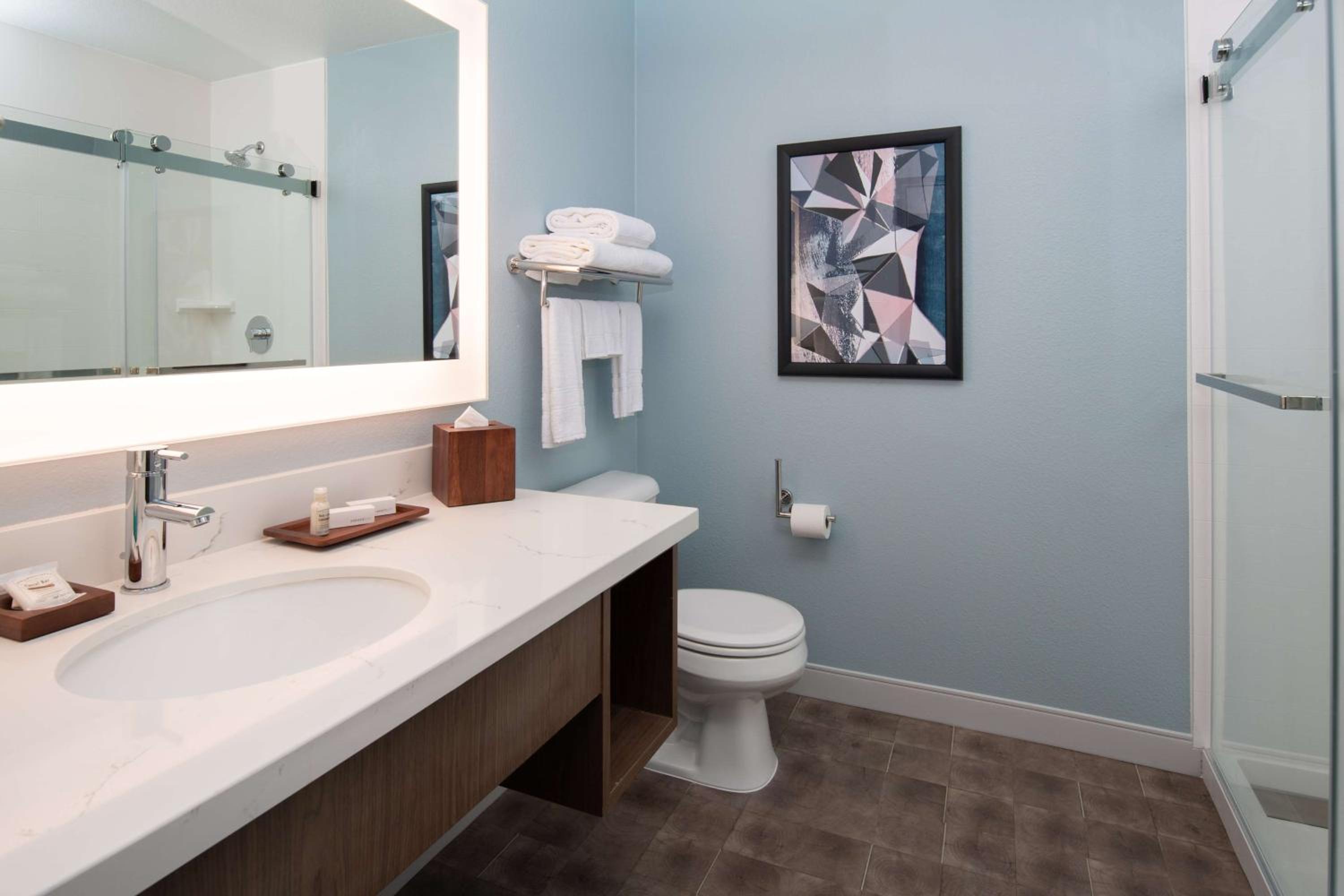 King Room with Roll-In Shower - Mobility Accessible - Photo 4