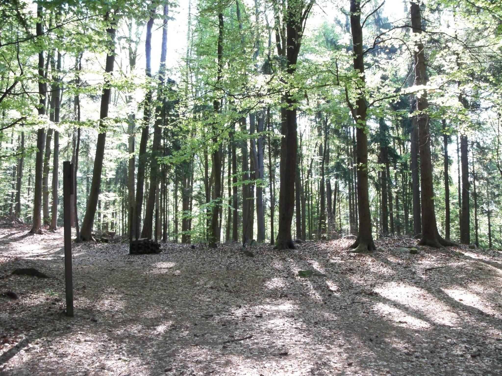 Vacation Home - Photo 14
