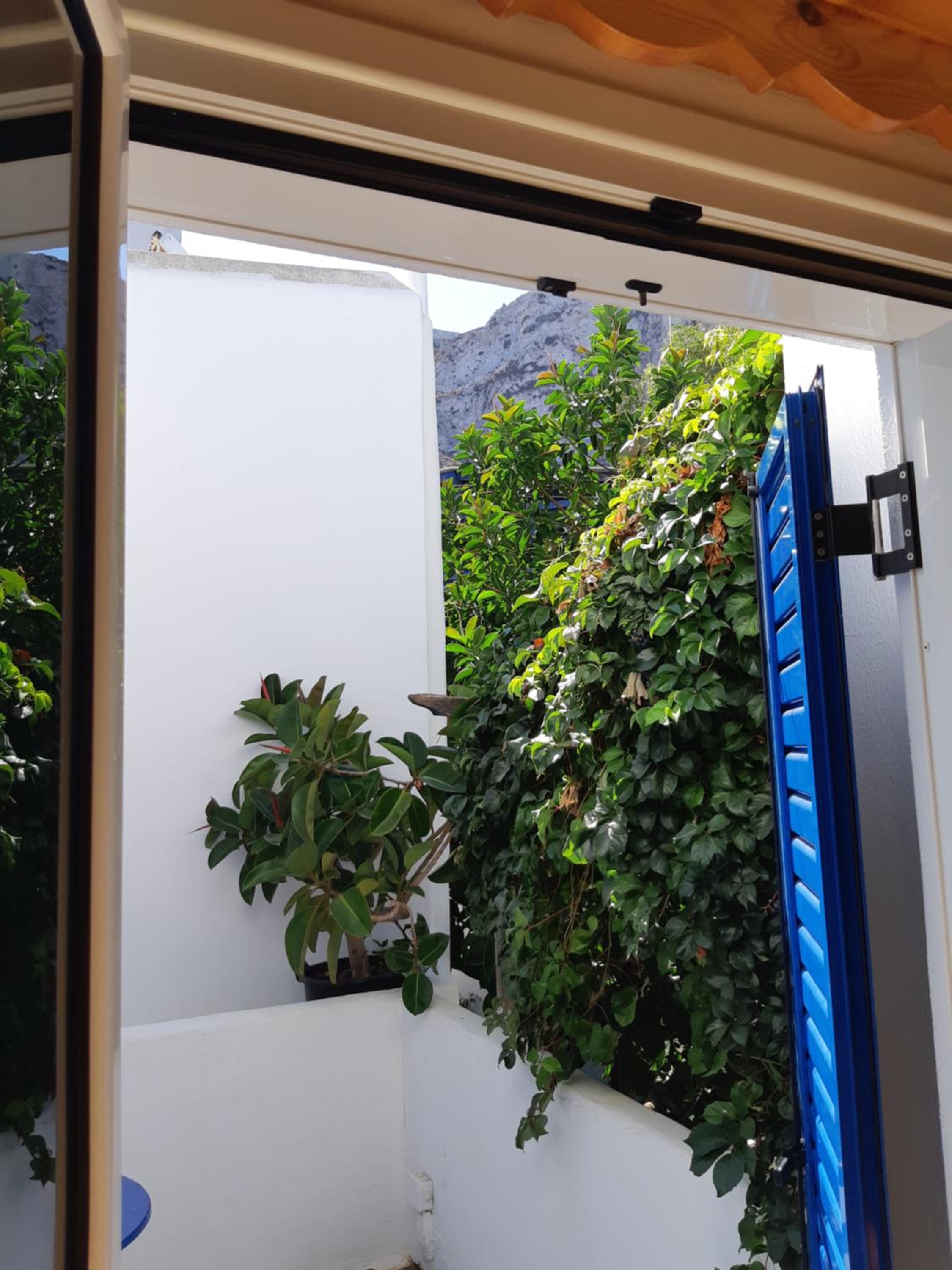 Single Room with Garden View photo 3
