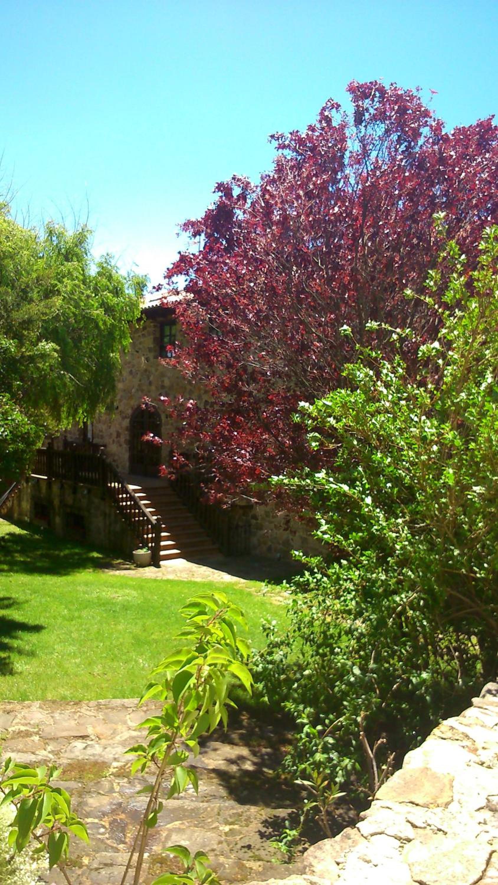 Bungalow - Photo 7