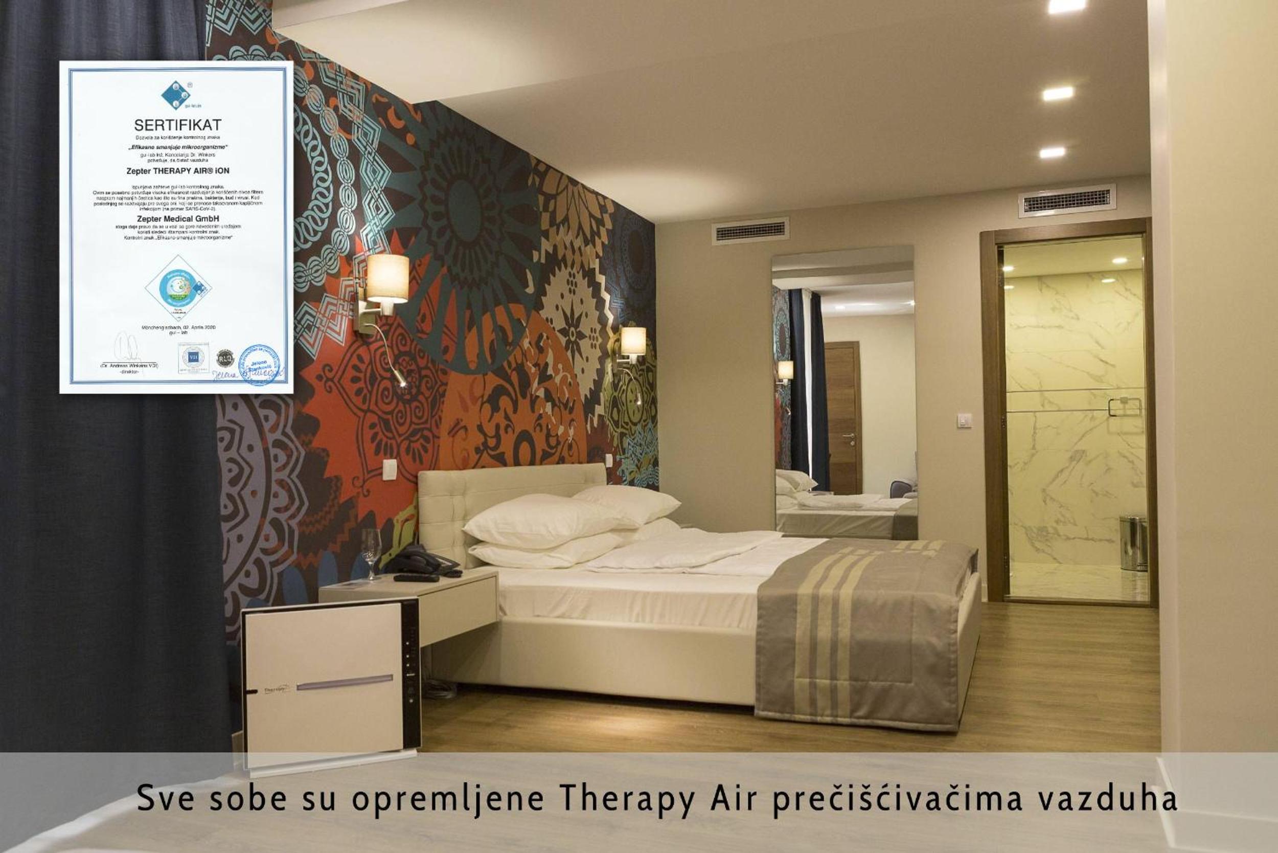 Deluxe Double or Twin Room photo 3
