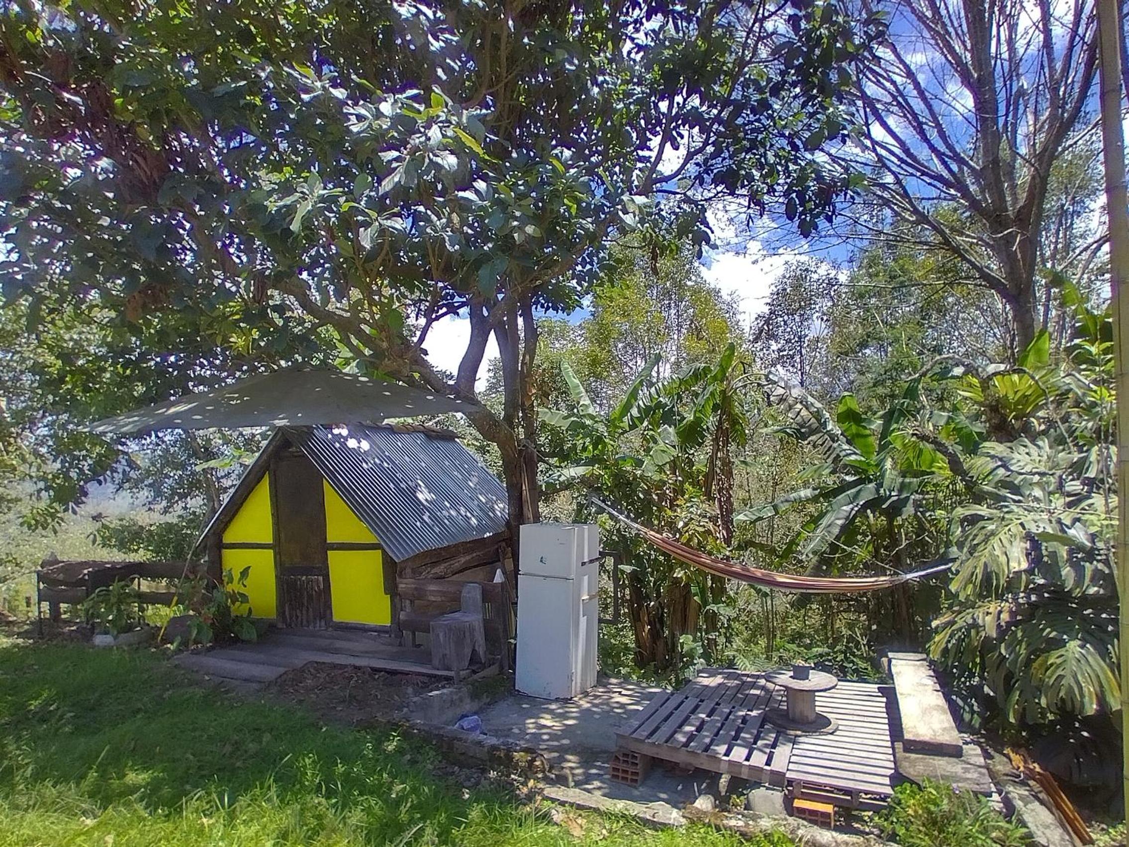 One-Bedroom Bungalow photo 2