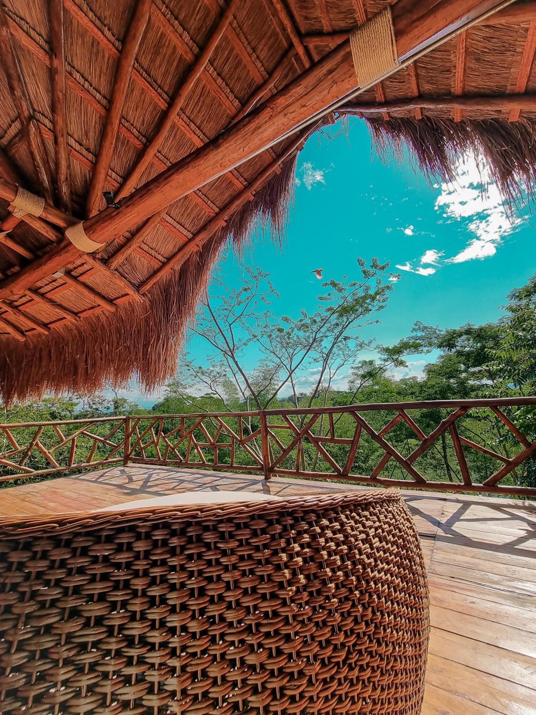 Family Bungalow photo 3