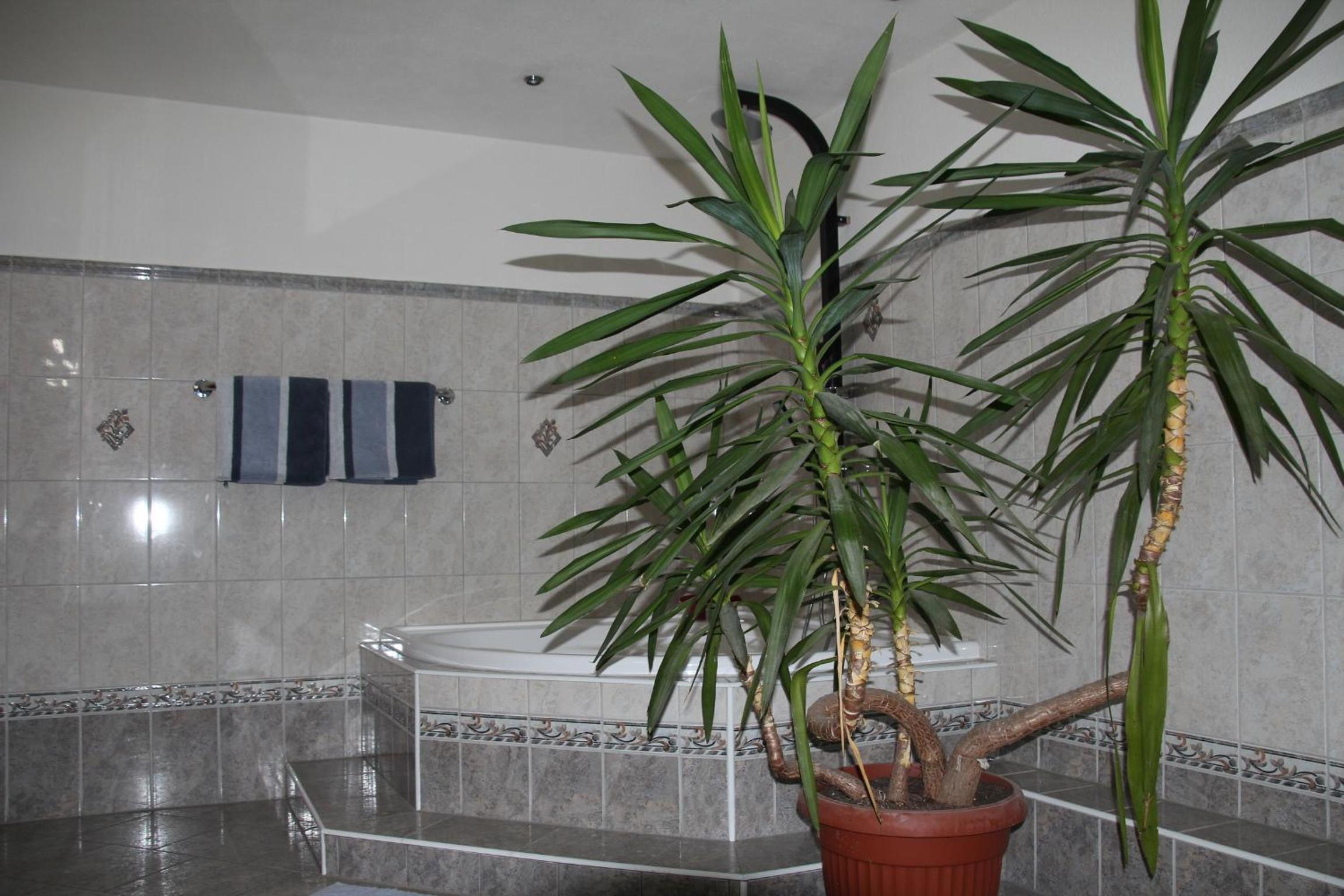 Apartment photo 3