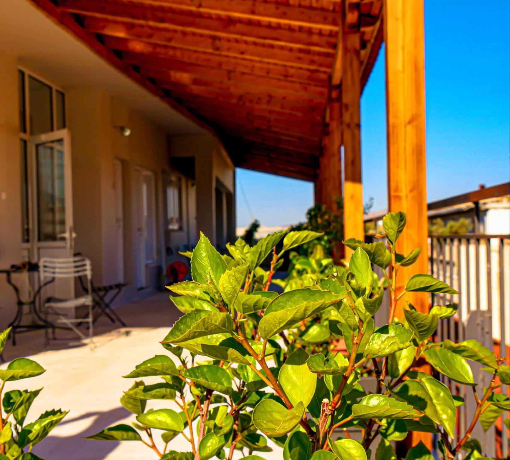 Roof Garden Double or Twin Room photo 2