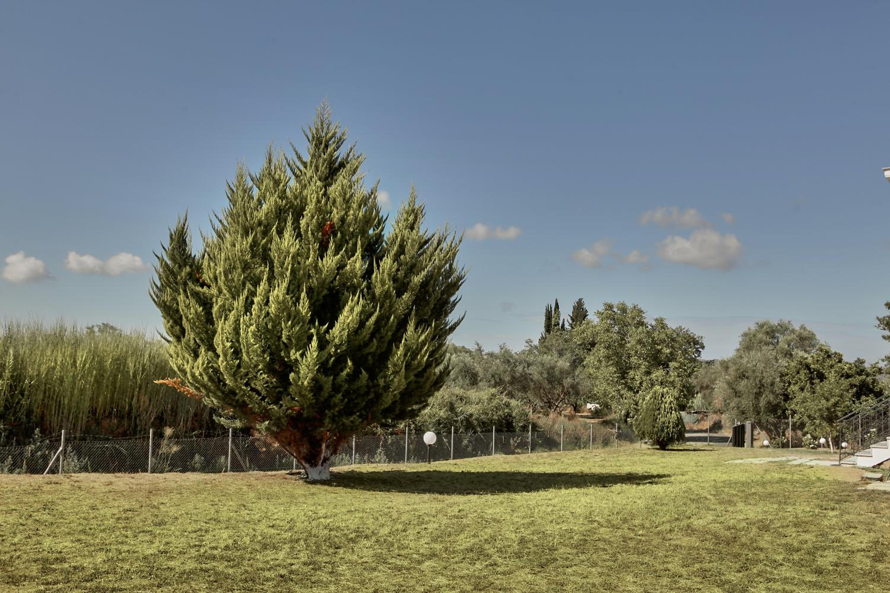 Villa - Photo 138