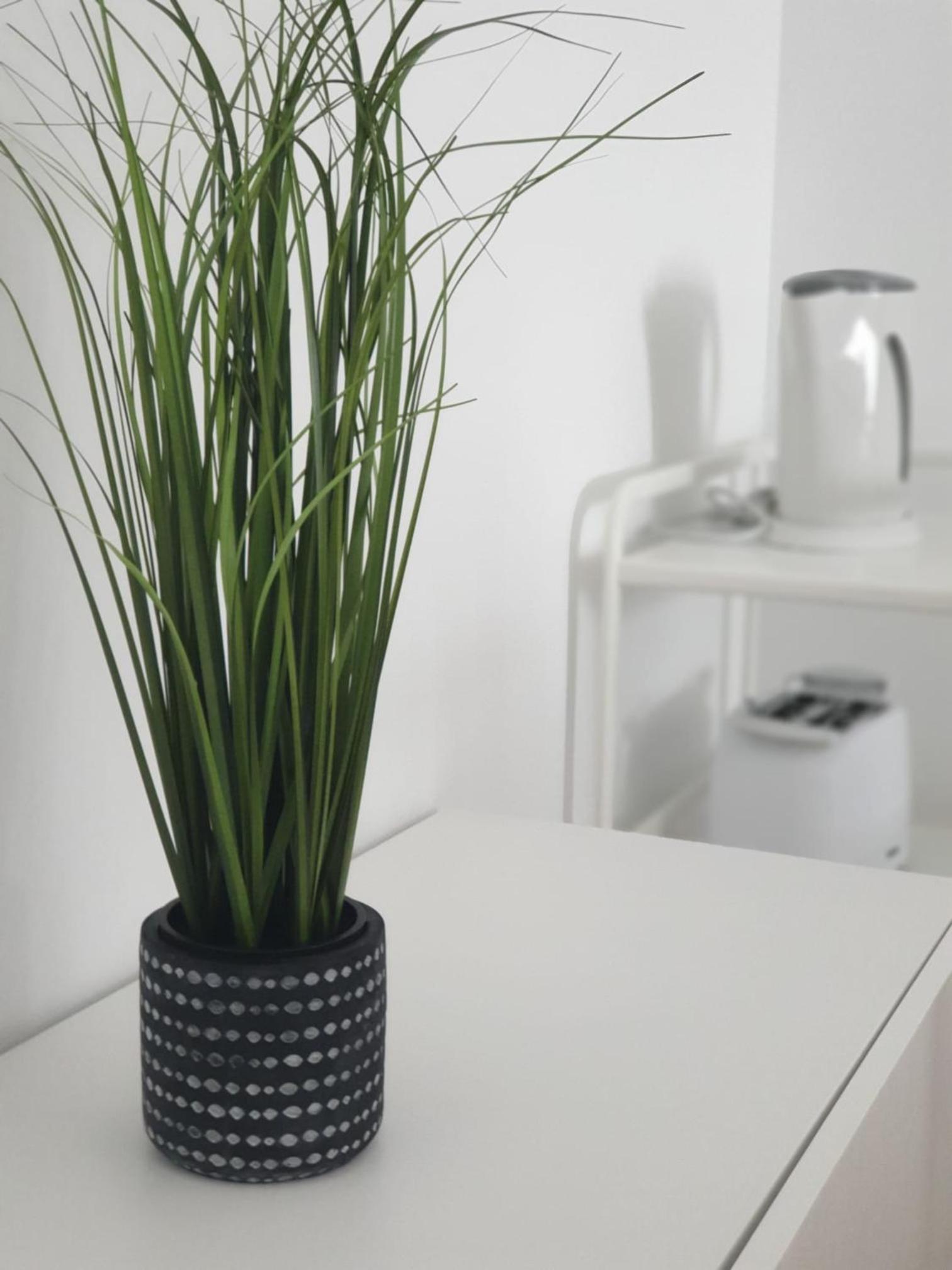 One-Bedroom Apartment - Photo 6