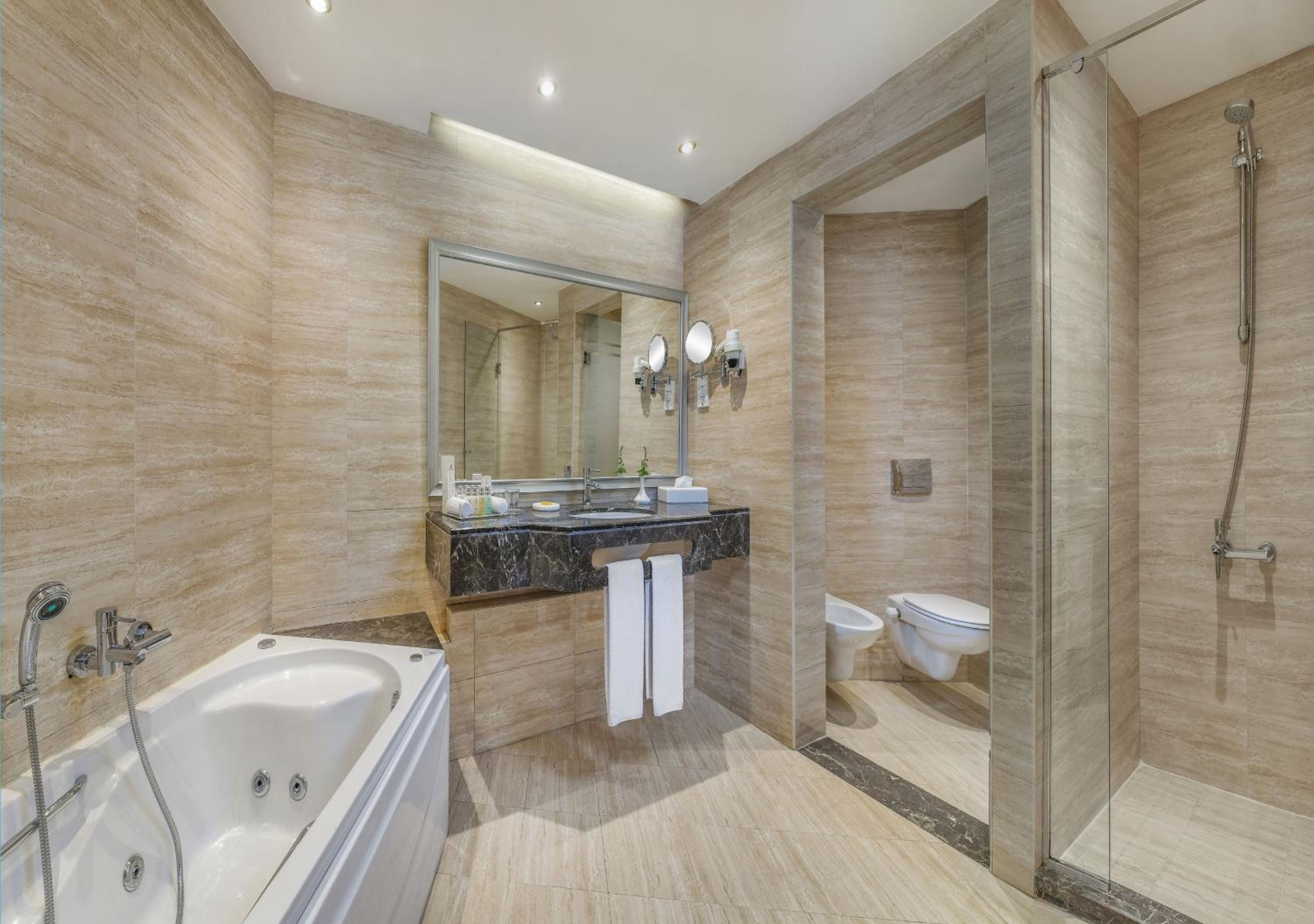 Executive Suite Queen or Twin Bed Sea View