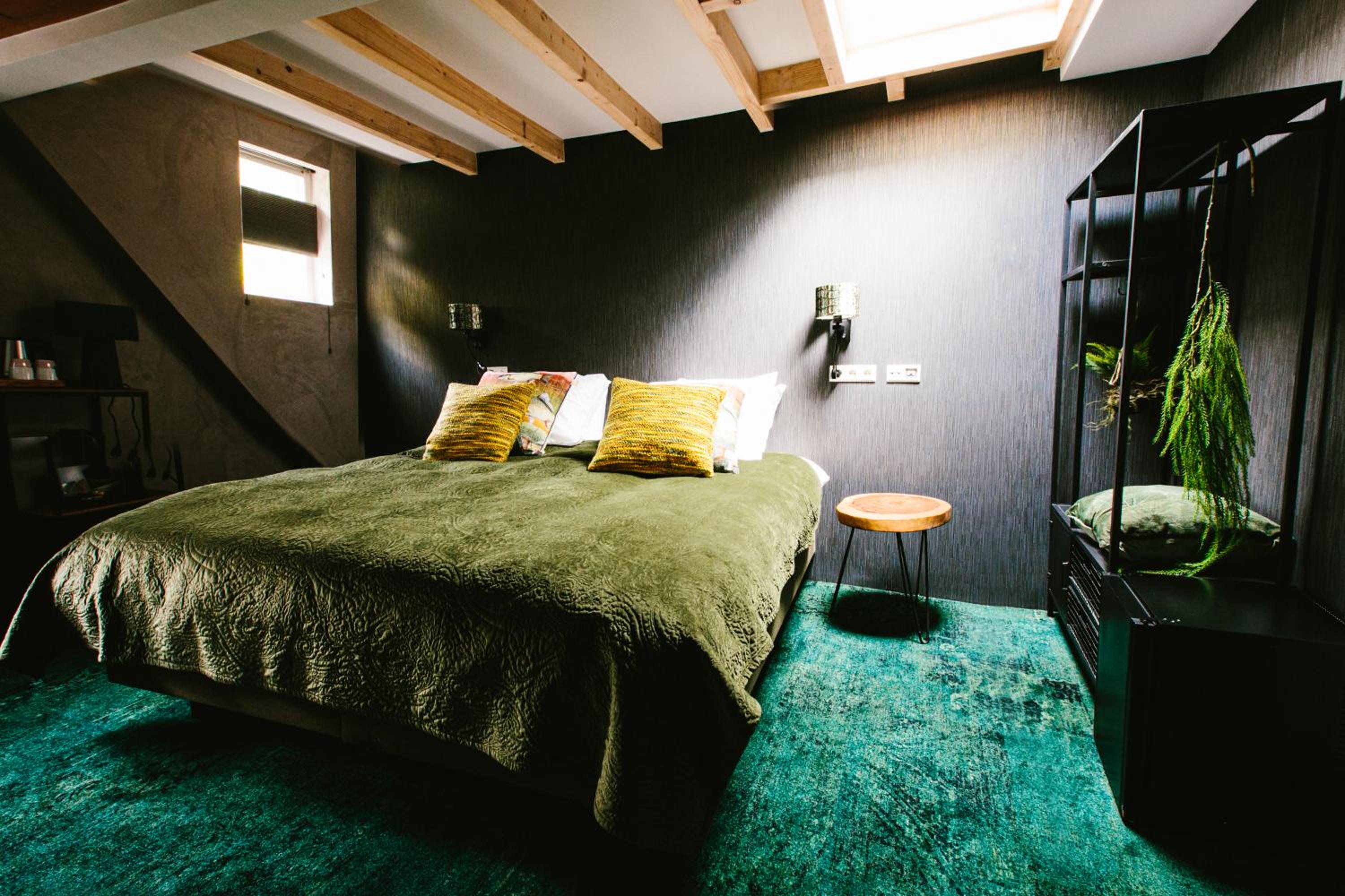 King Room - Photo 1