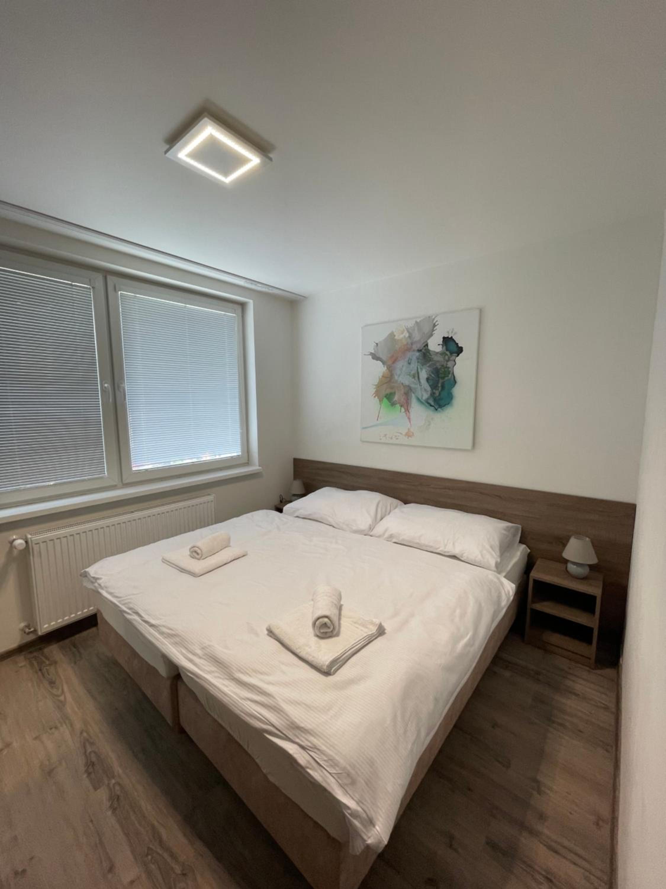 Apartment With Balcony With Shared Kitchen photo 2