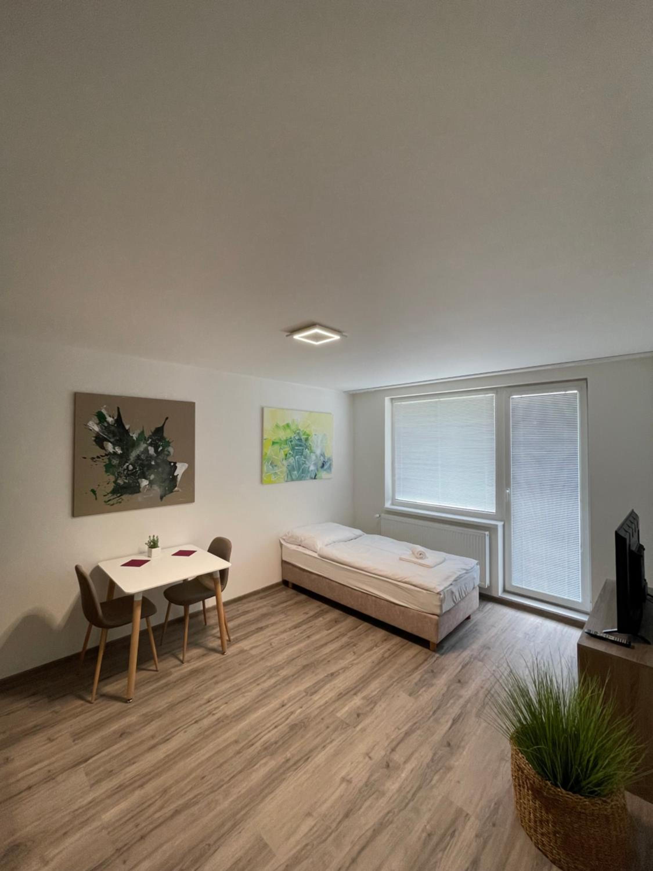 Apartment With Balcony With Shared Kitchen photo 3