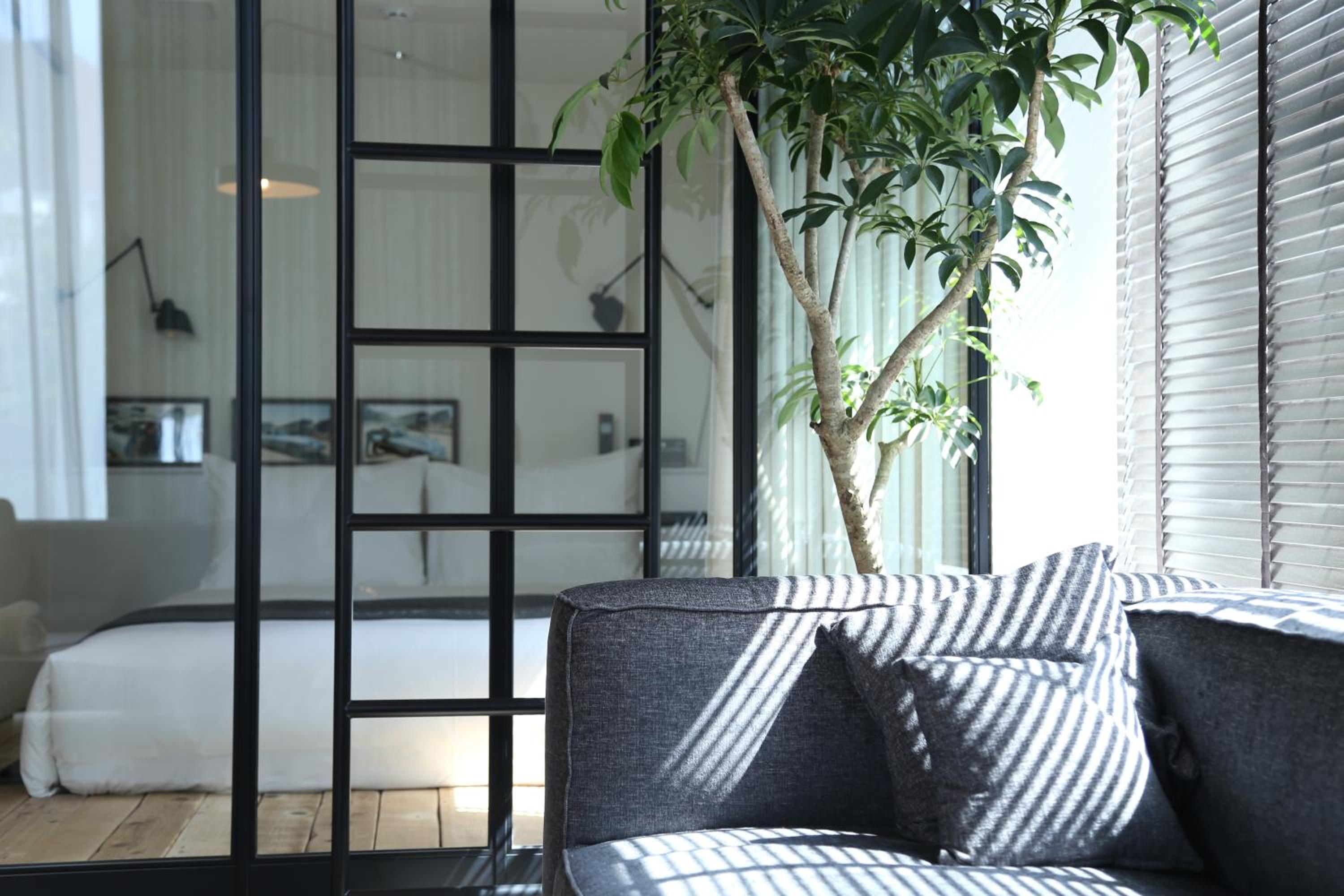 Living Suite photo 2
