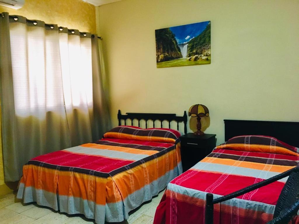 Deluxe Twin Room photo 1