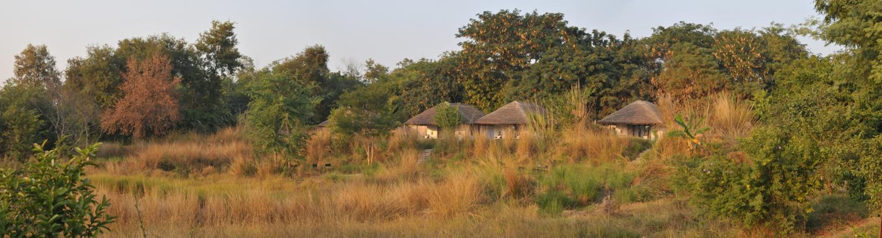 Luxury Cottage with Lake View - Photo 13