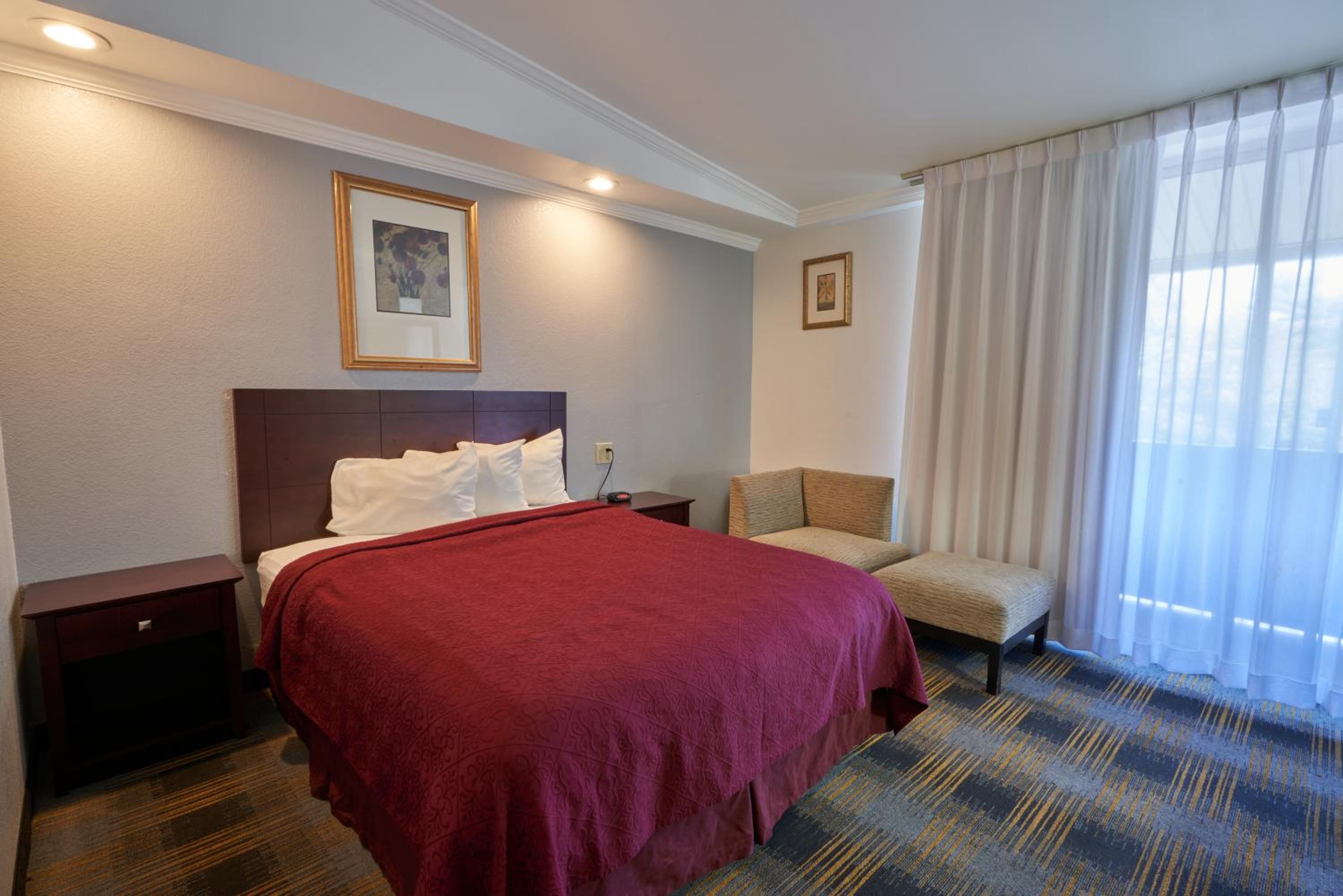 Deluxe Room, Queen Bed photo 1