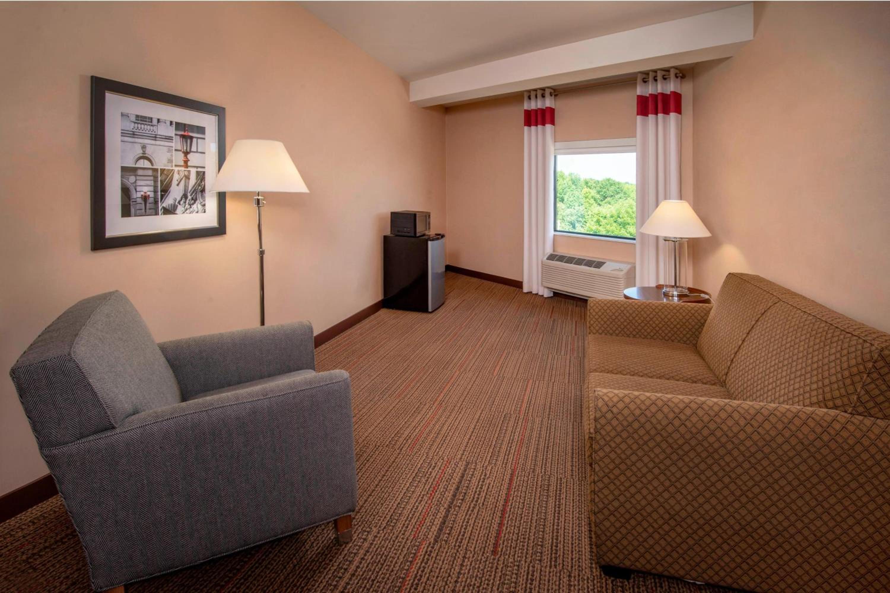 1 Bedroom Suite, 1 King, Whirlpool photo 3