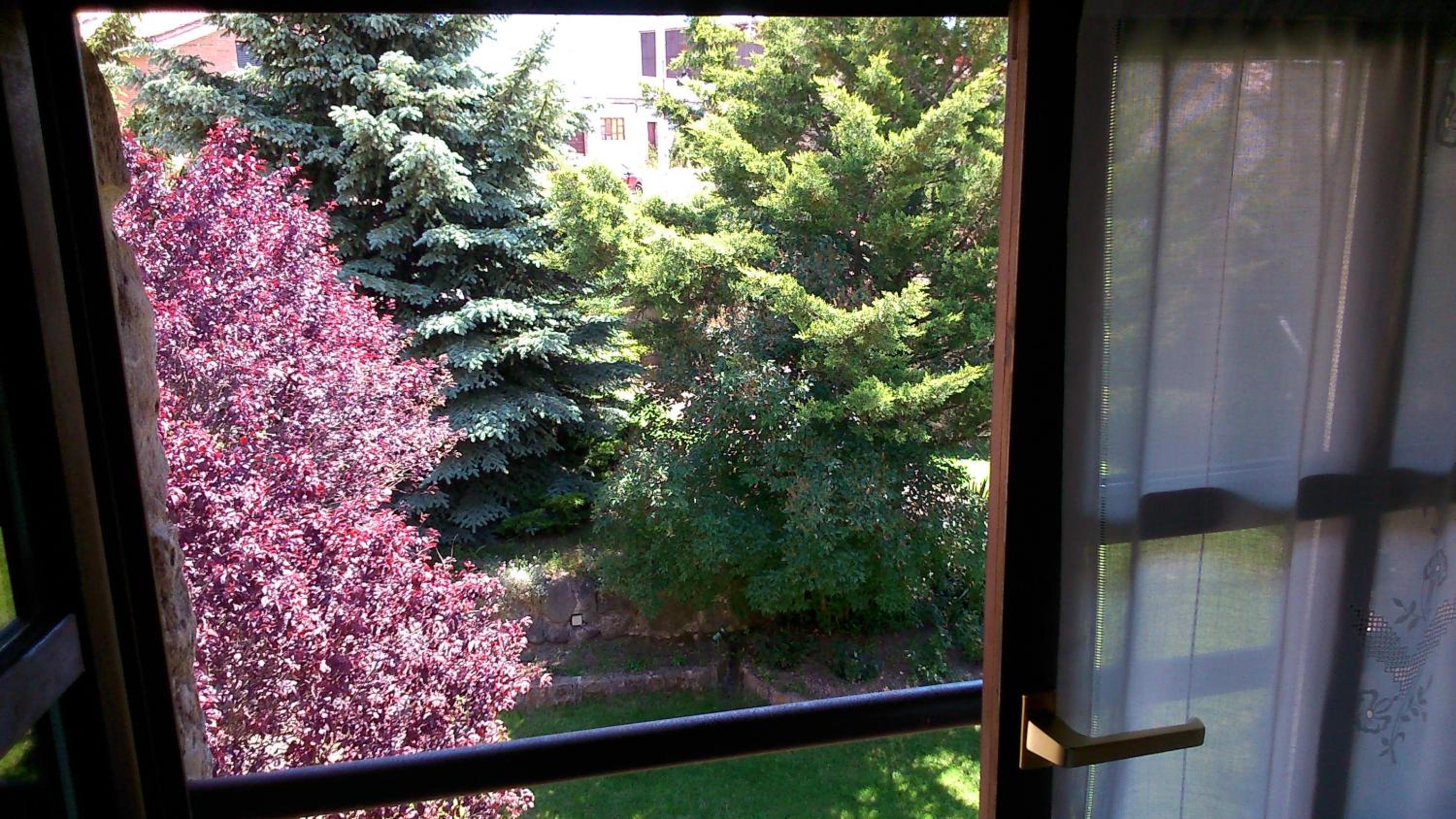 Double or Twin Room with Mountain View - Photo 11