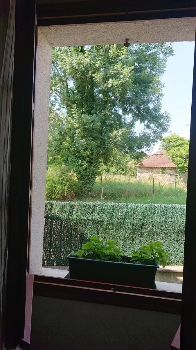 Double Room with Garden View photo 3