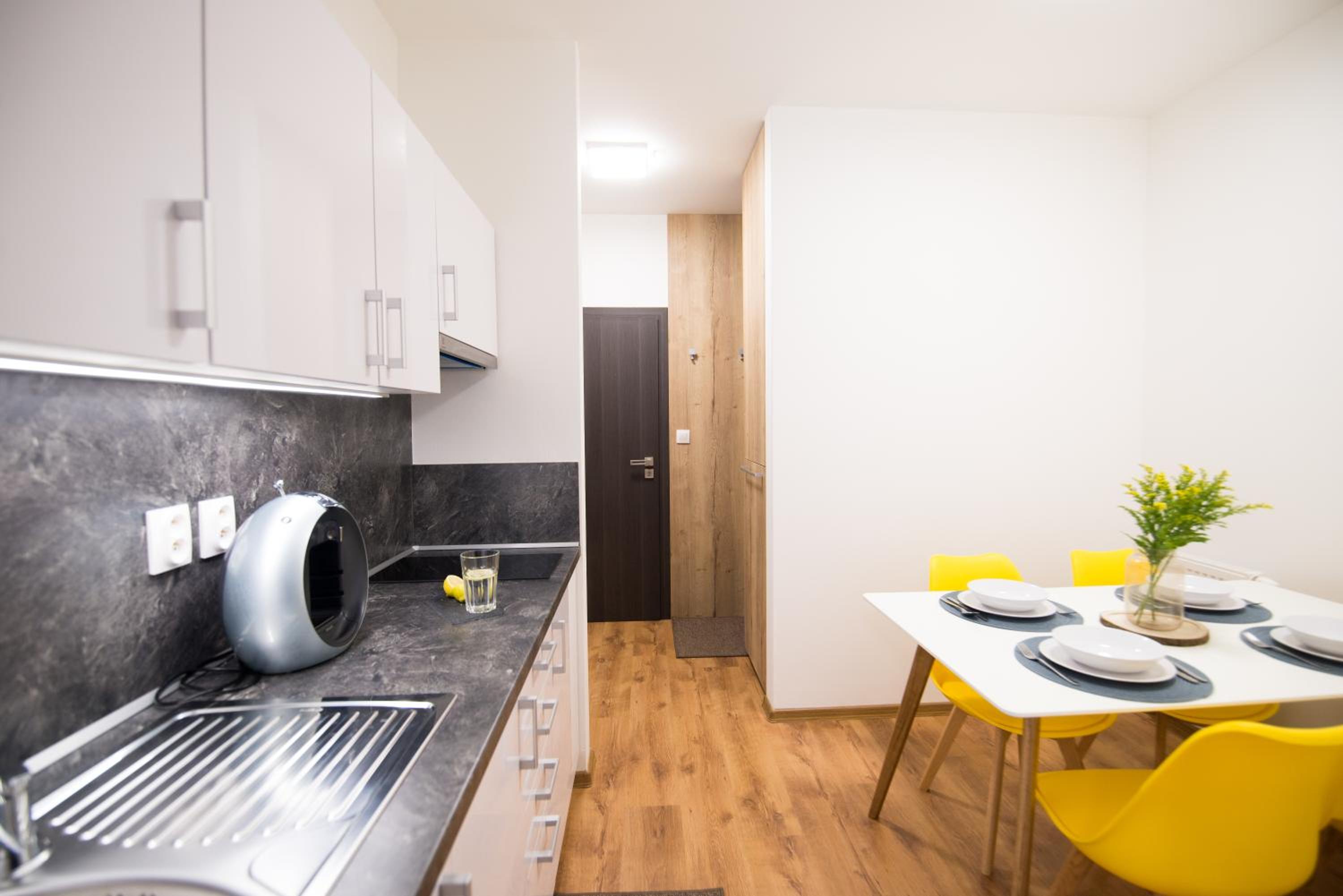 One-Bedroom Apartment - Photo 11
