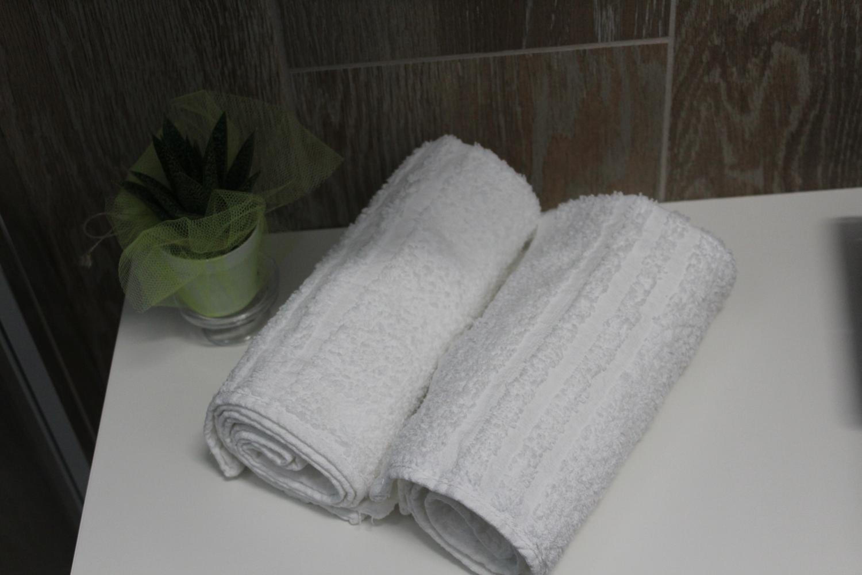Deluxe Suite - Photo 15