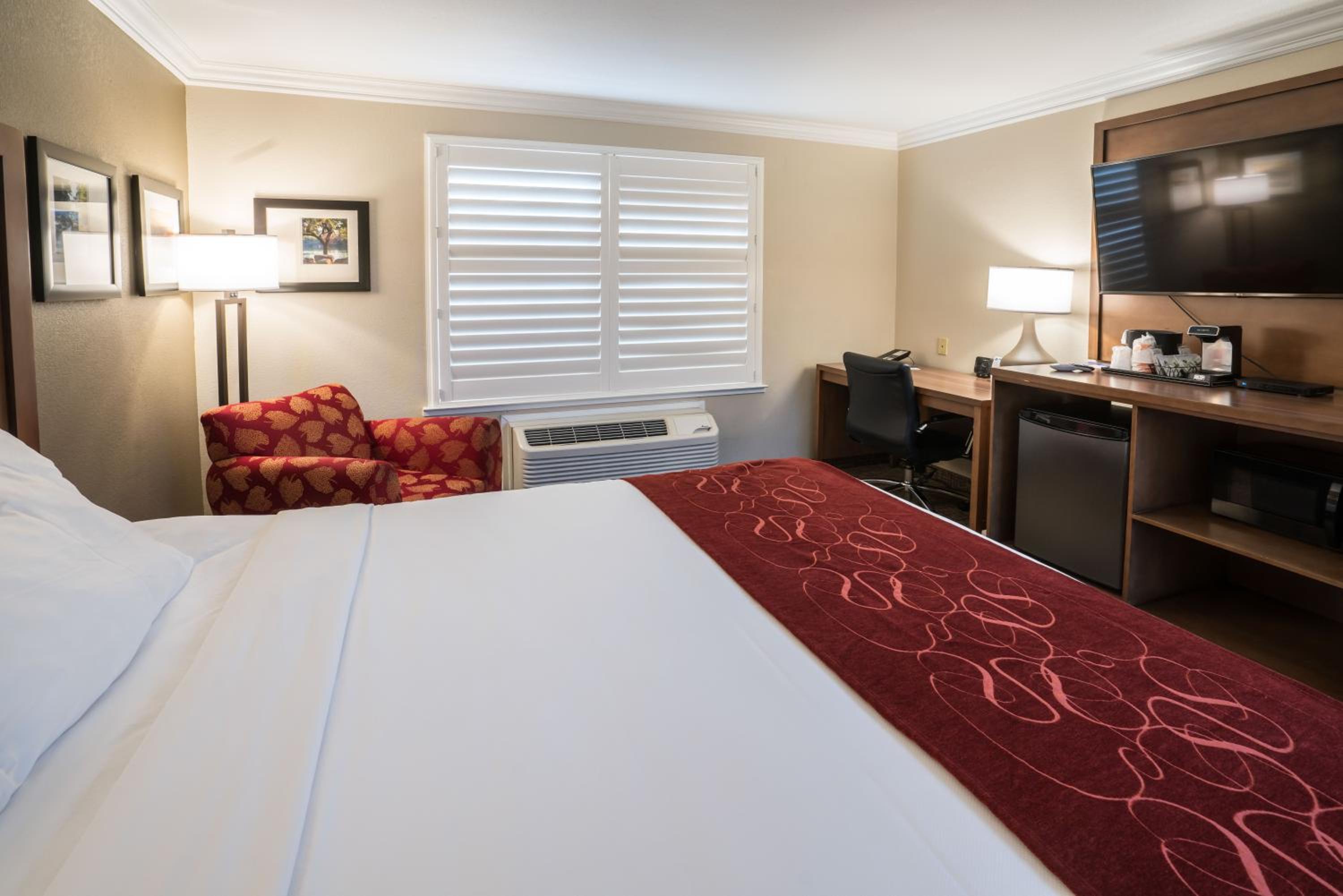 King Room - Accessible/Non-Smoking