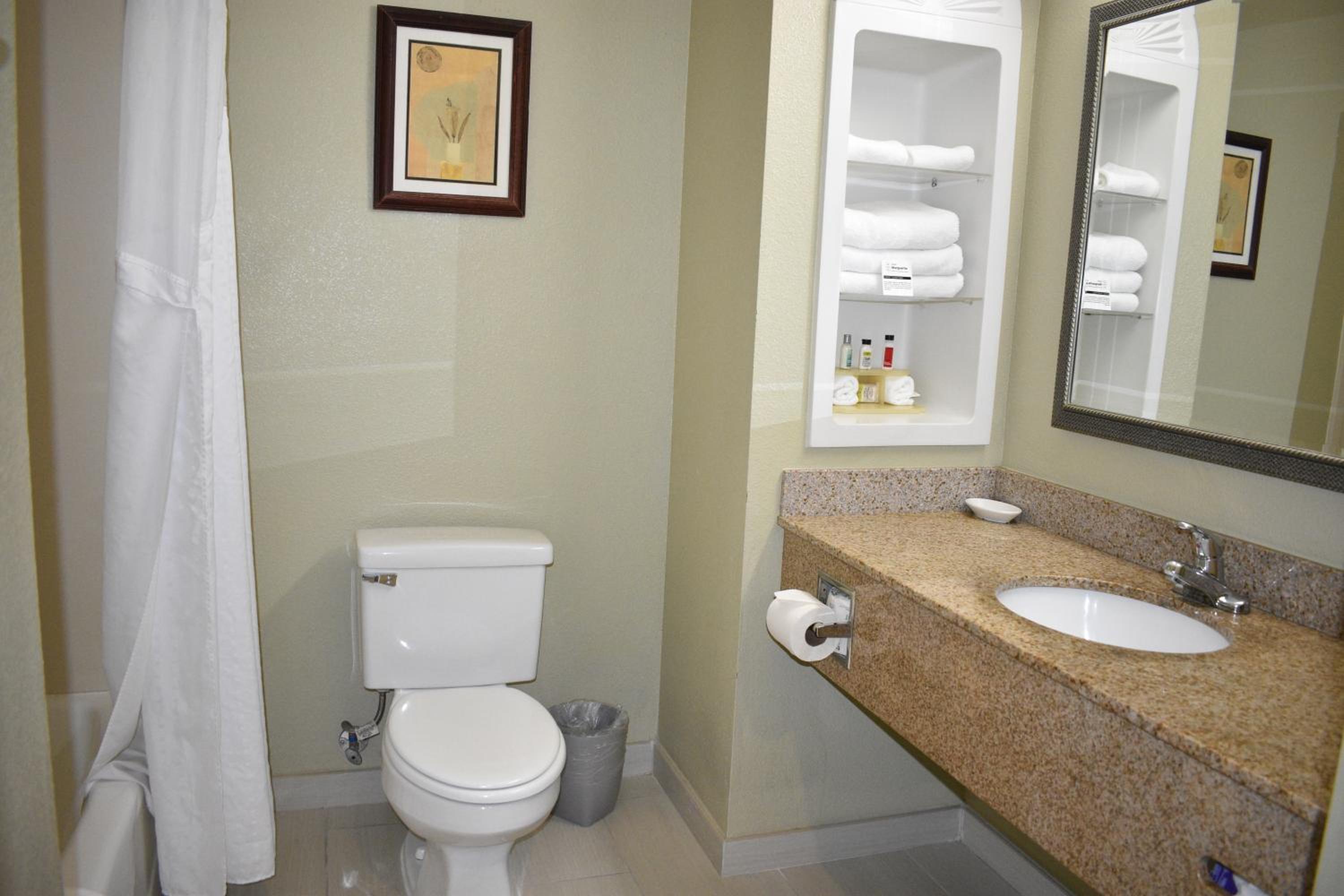 1 King Bed, Deluxe Mobility Accessible Room, Bathtub w/ Grab Bars, Non-Smoking - Photo 3