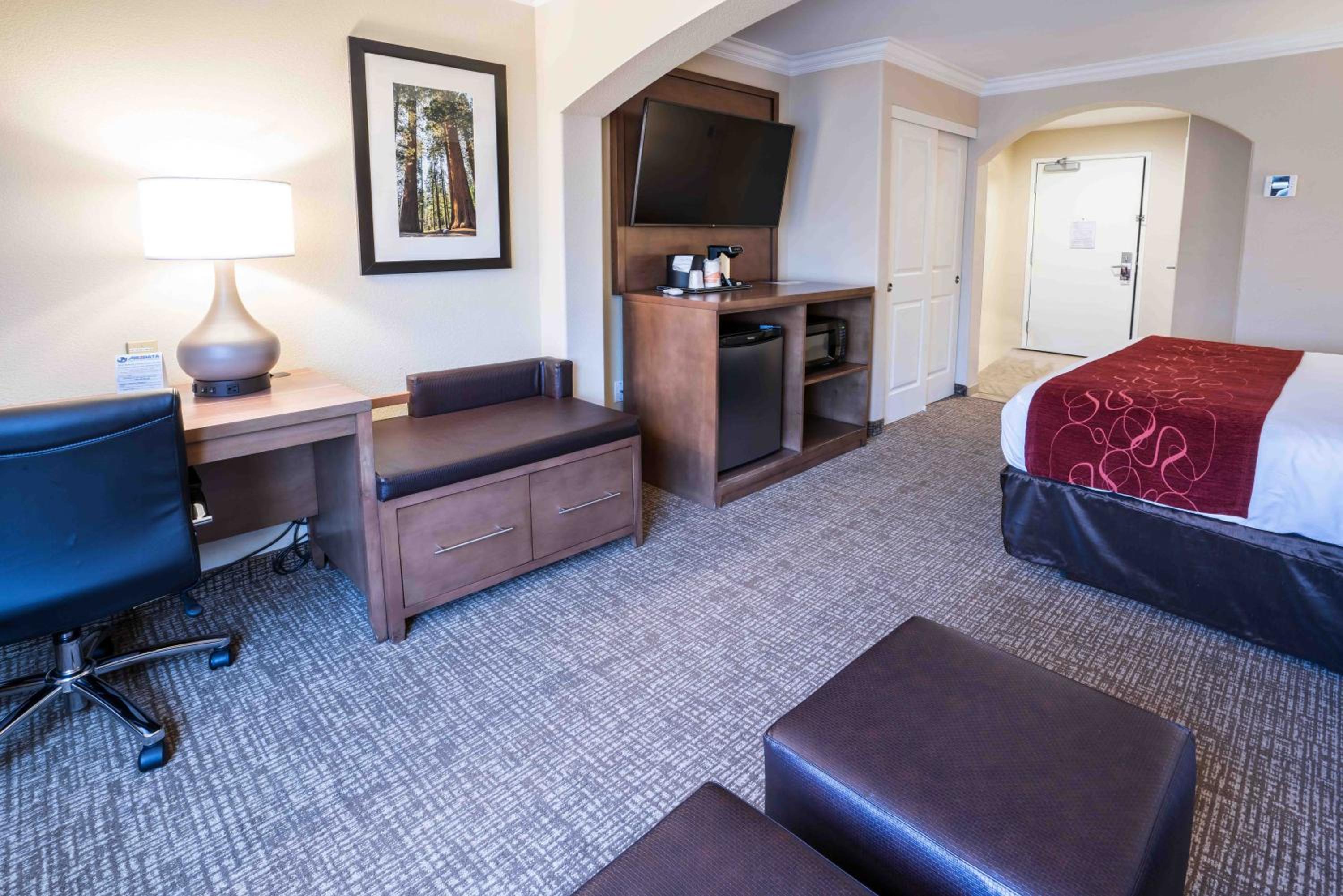 King Room with Roll-In Shower - Accessible/Non-Smoking - Photo 4