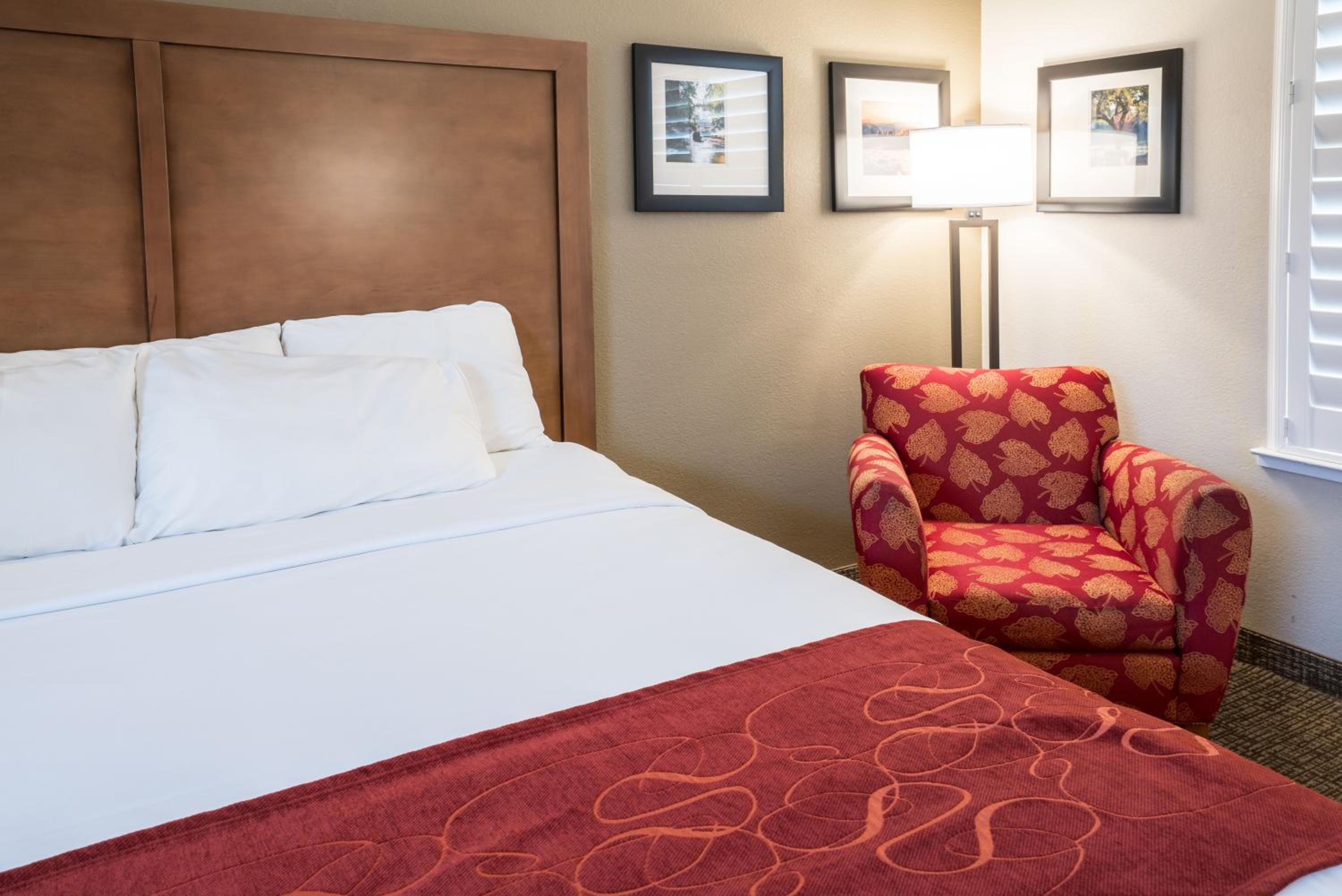 King Room with Roll-In Shower - Accessible/Non-Smoking - Photo 1