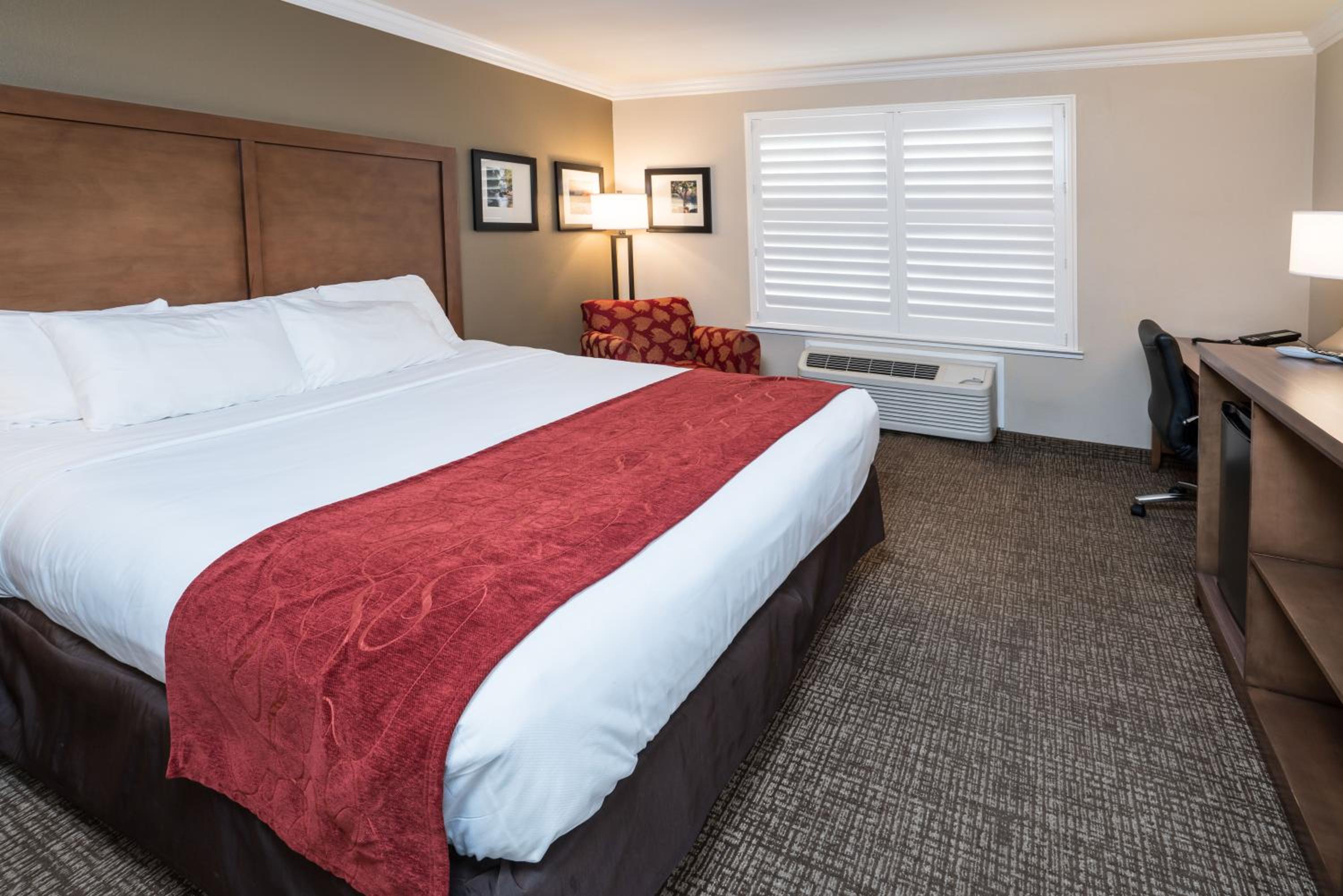 King Room with Roll-In Shower - Accessible/Non-Smoking - Photo 2