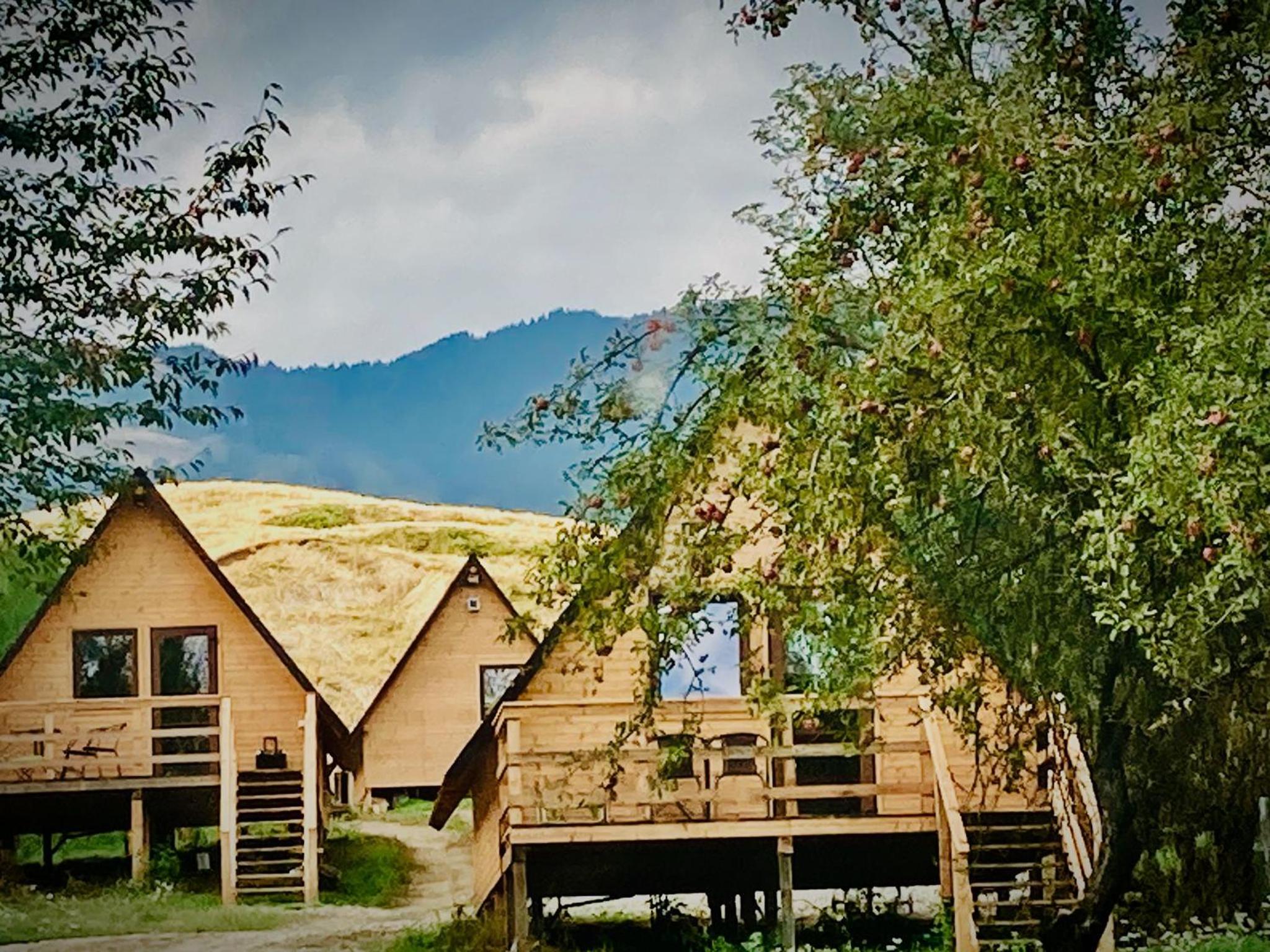 One-Bedroom Chalet - Photo 19