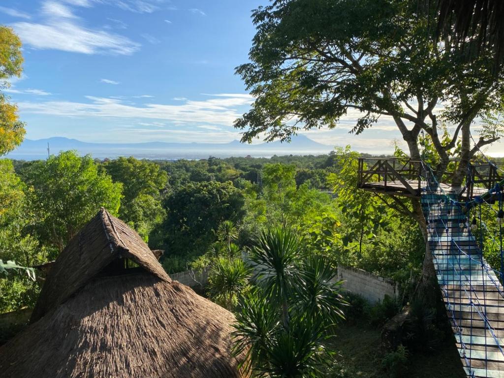 Double Room with Garden View photo 2