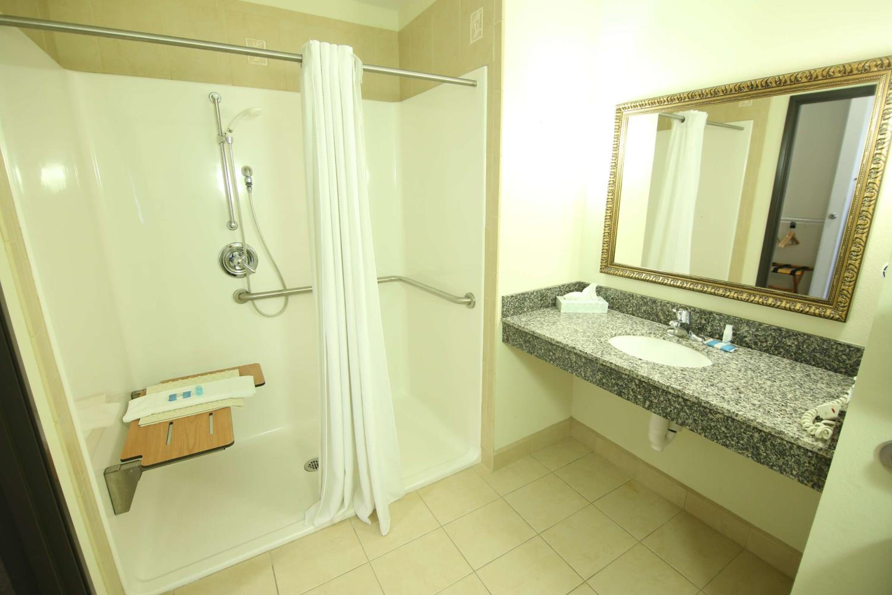 Queen Room with Roll-In Shower - Mobility Access - Photo 2