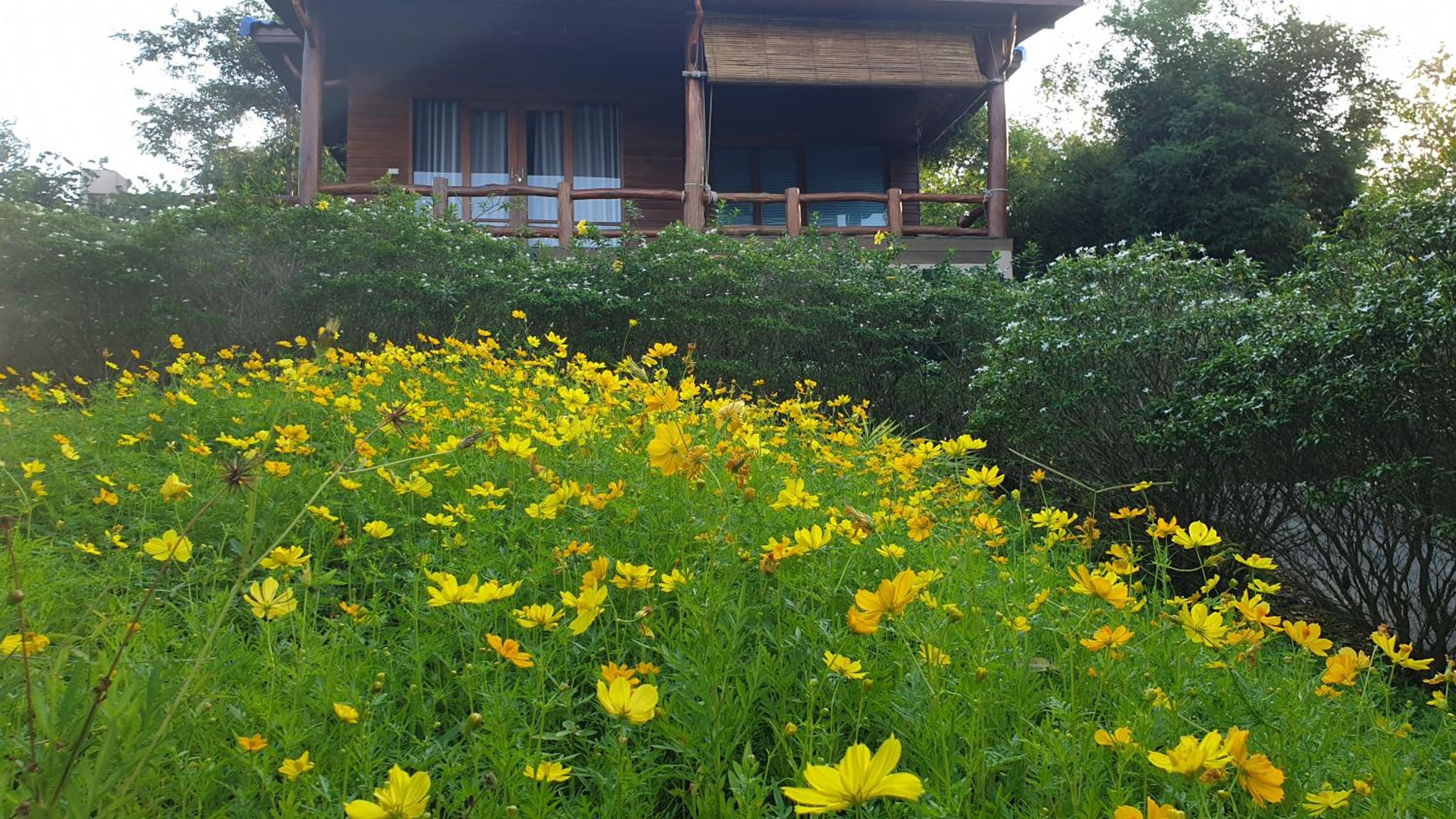 Deluxe Bungalow with Sea View (Not corner) - Photo 4